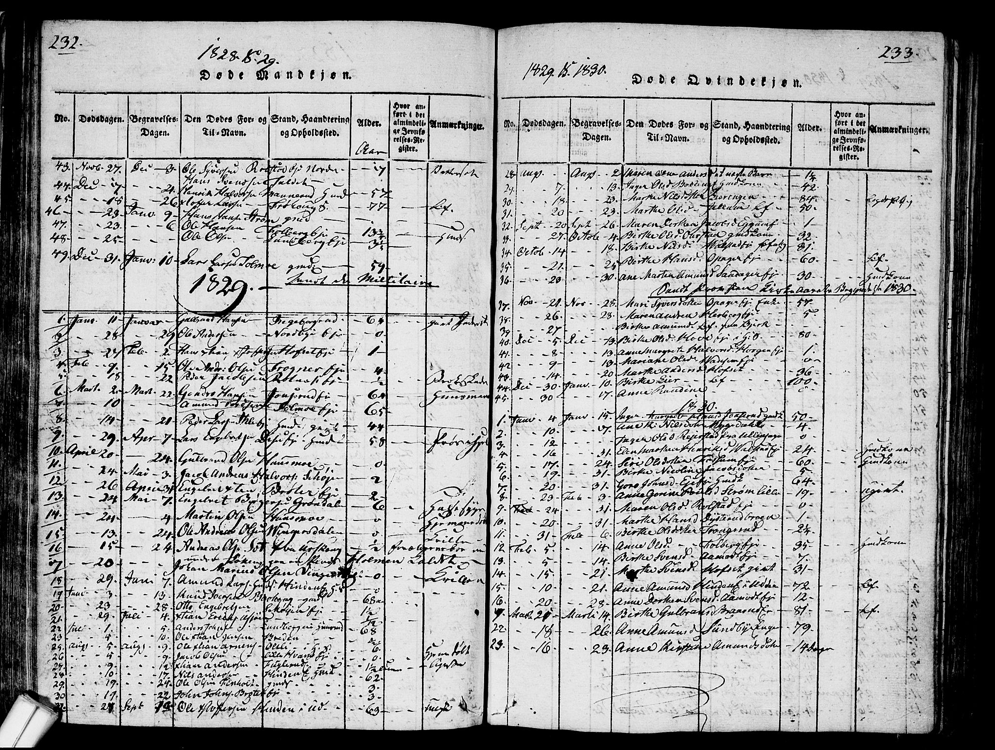 Nes prestekontor Kirkebøker, SAO/A-10410/G/Ga/L0001: Parish register (copy) no. I 1, 1815-1835, p. 232-233