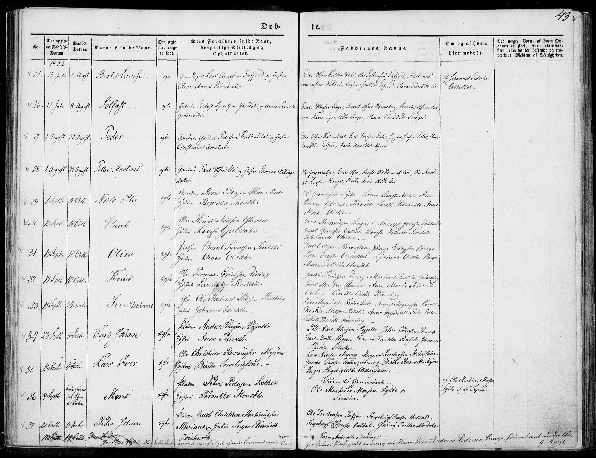 Ministerialprotokoller, klokkerbøker og fødselsregistre - Møre og Romsdal, SAT/A-1454/519/L0249: Parish register (official) no. 519A08, 1846-1868, p. 43