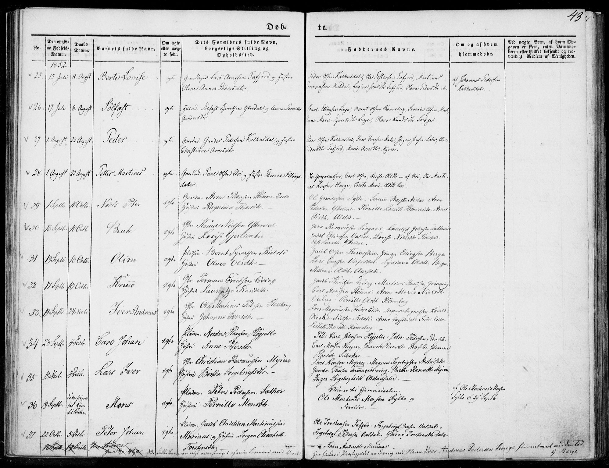 Ministerialprotokoller, klokkerbøker og fødselsregistre - Møre og Romsdal, AV/SAT-A-1454/519/L0249: Parish register (official) no. 519A08, 1846-1868, p. 43