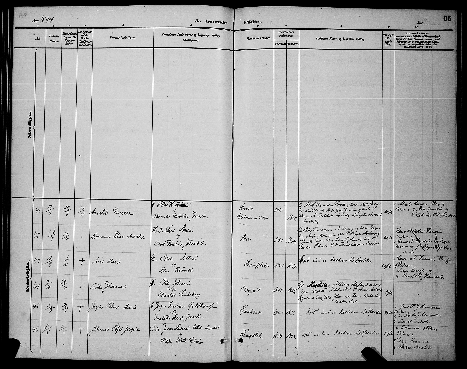 Skjervøy sokneprestkontor, AV/SATØ-S-1300/H/Ha/Hab/L0007klokker: Parish register (copy) no. 7, 1889-1899, p. 65