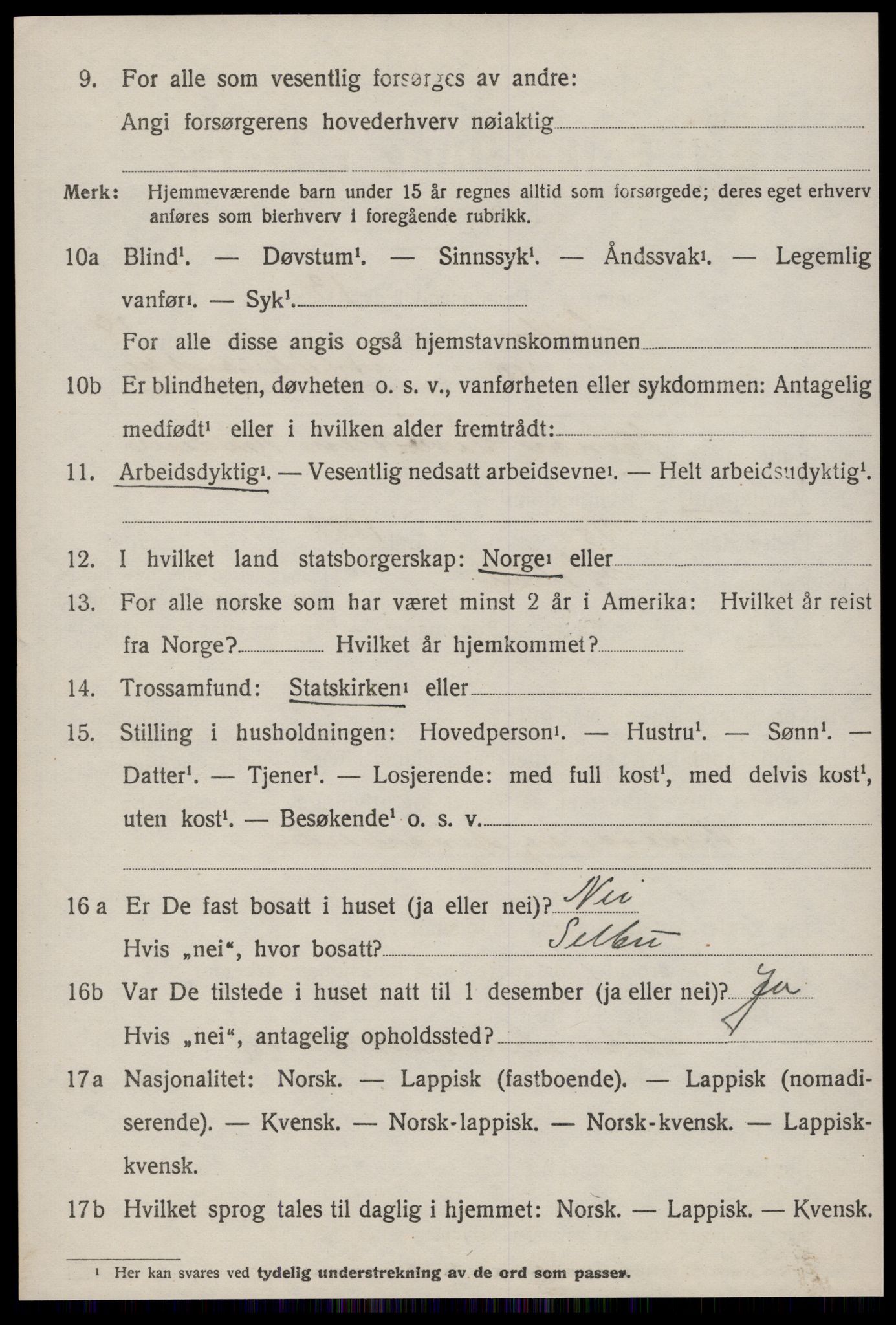 SAT, 1920 census for Selbu, 1920, p. 9867