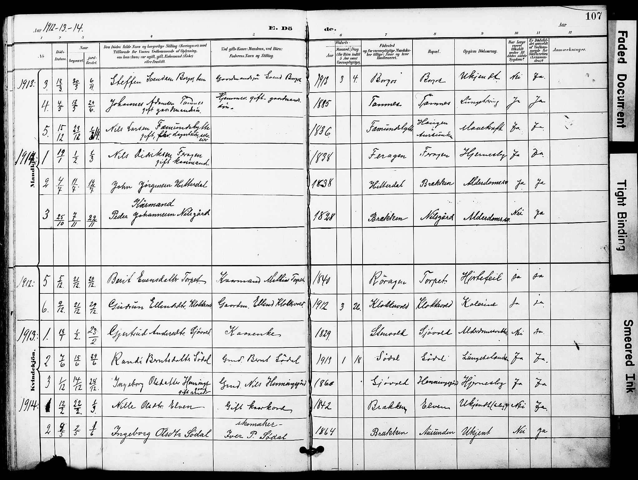 Ministerialprotokoller, klokkerbøker og fødselsregistre - Sør-Trøndelag, SAT/A-1456/683/L0950: Parish register (copy) no. 683C02, 1897-1918, p. 107