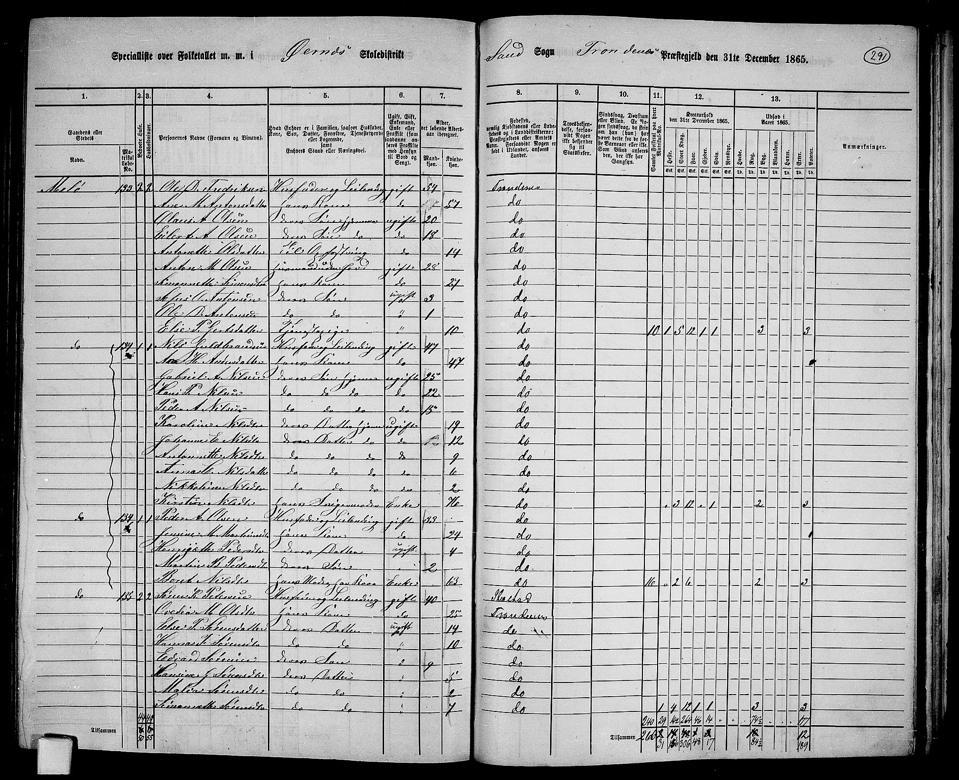 RA, 1865 census for Trondenes, 1865, p. 176