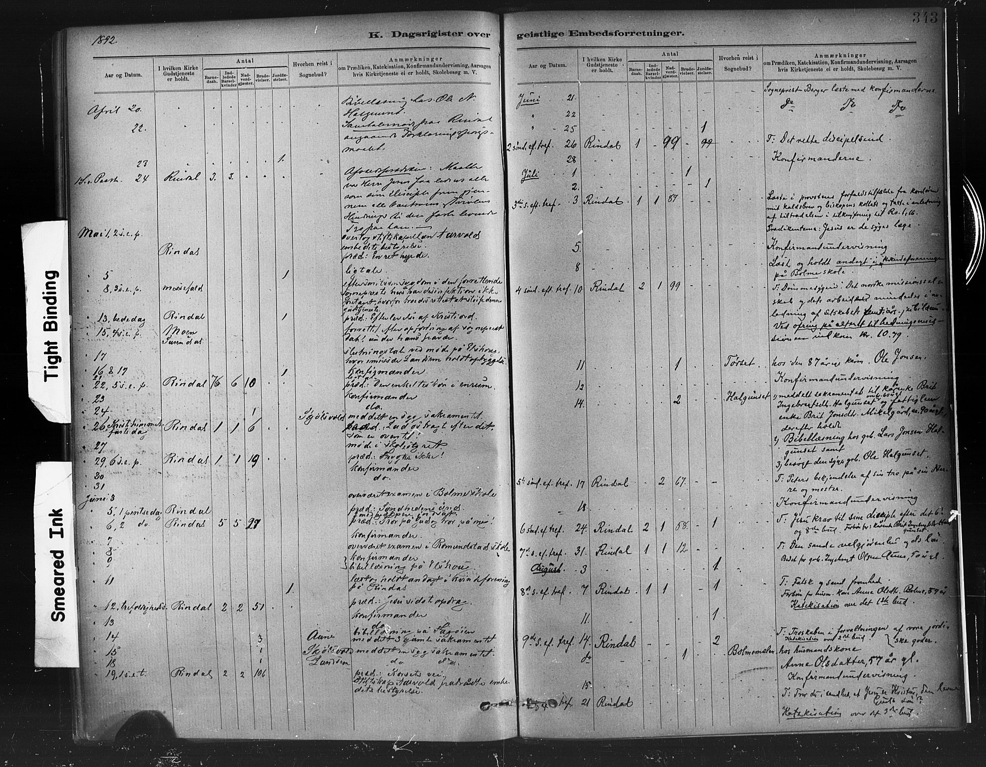 Ministerialprotokoller, klokkerbøker og fødselsregistre - Møre og Romsdal, AV/SAT-A-1454/598/L1069: Parish register (official) no. 598A03, 1882-1895, p. 343