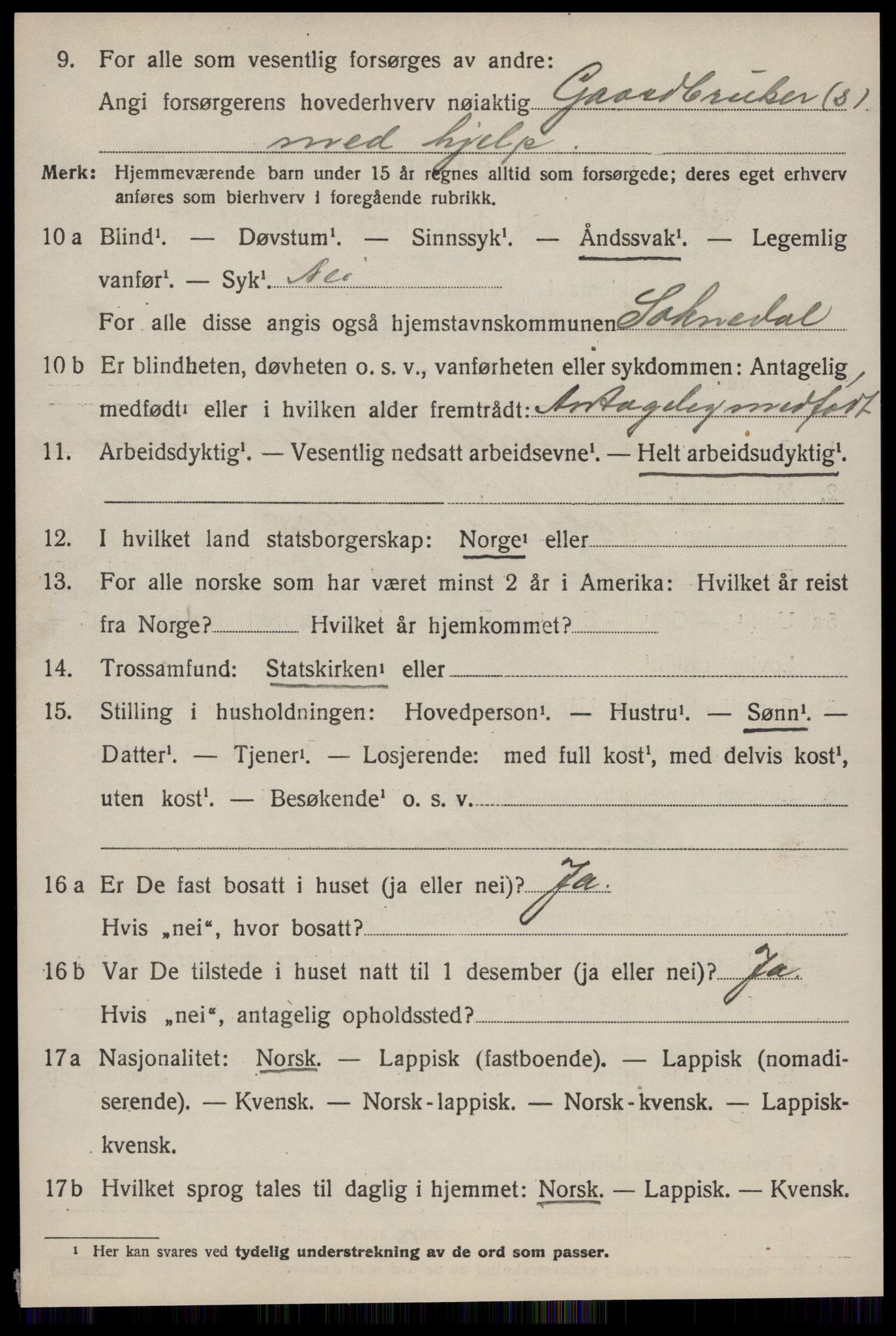 SAT, 1920 census for Soknedal, 1920, p. 3989