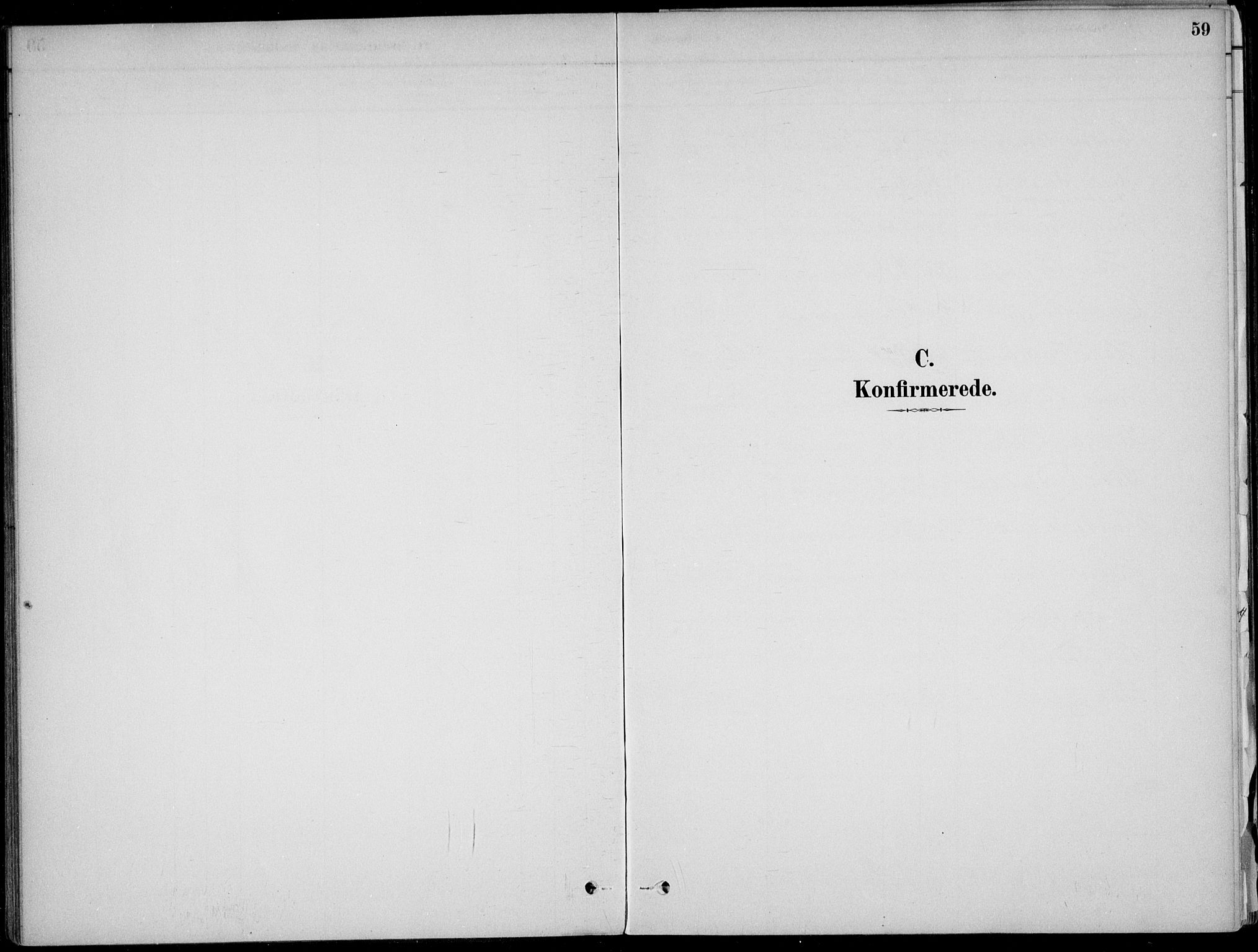 Ådal kirkebøker, AV/SAKO-A-248/F/Fa/L0003: Parish register (official) no. I 3, 1884-1903, p. 59