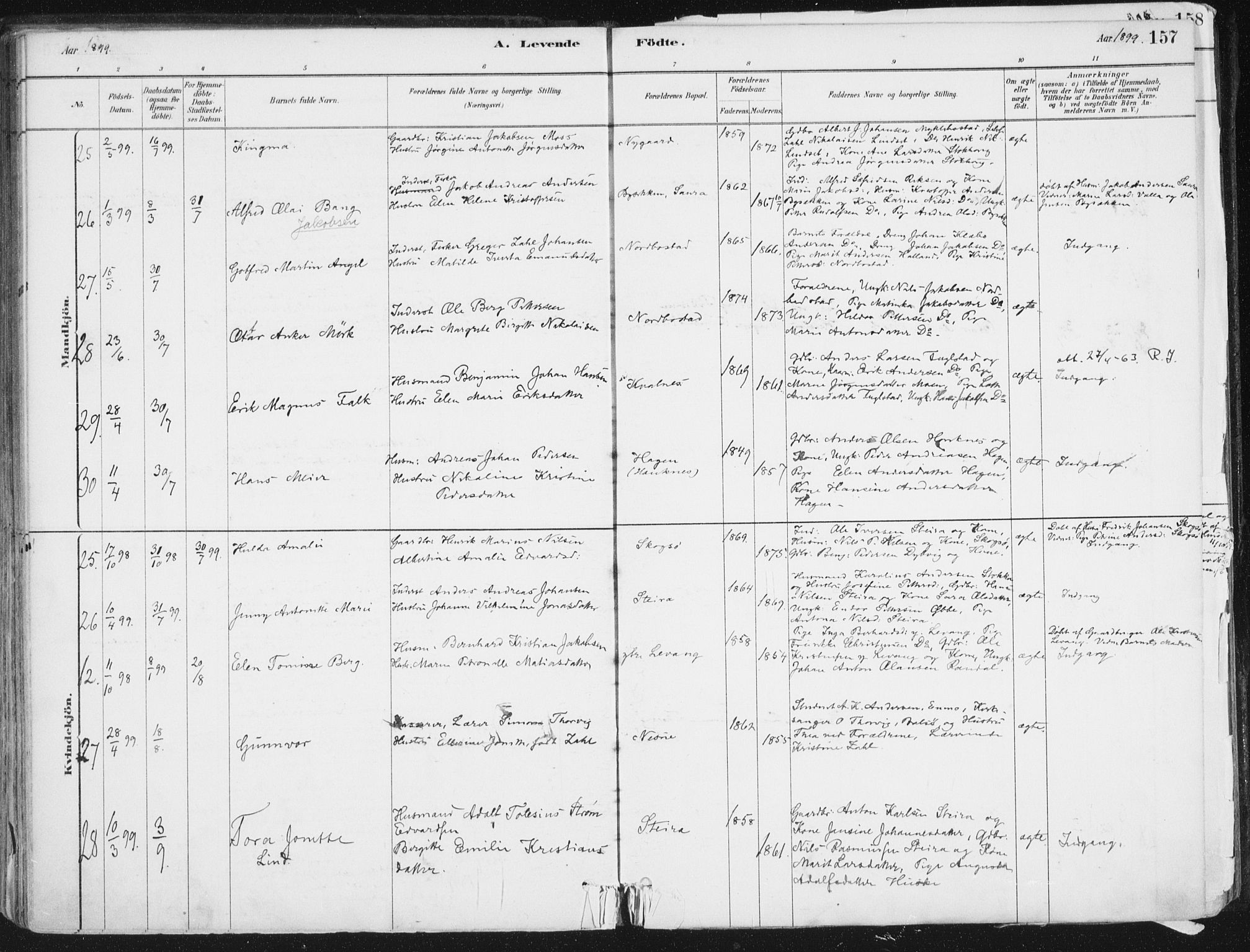 Ministerialprotokoller, klokkerbøker og fødselsregistre - Nordland, AV/SAT-A-1459/838/L0552: Parish register (official) no. 838A10, 1880-1910, p. 157