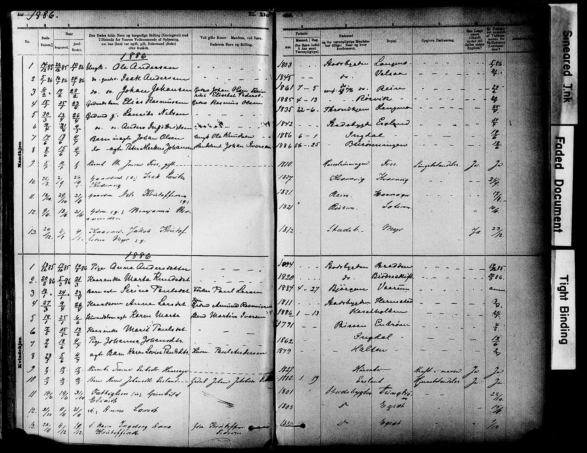 Ministerialprotokoller, klokkerbøker og fødselsregistre - Sør-Trøndelag, AV/SAT-A-1456/646/L0615: Parish register (official) no. 646A13, 1885-1900