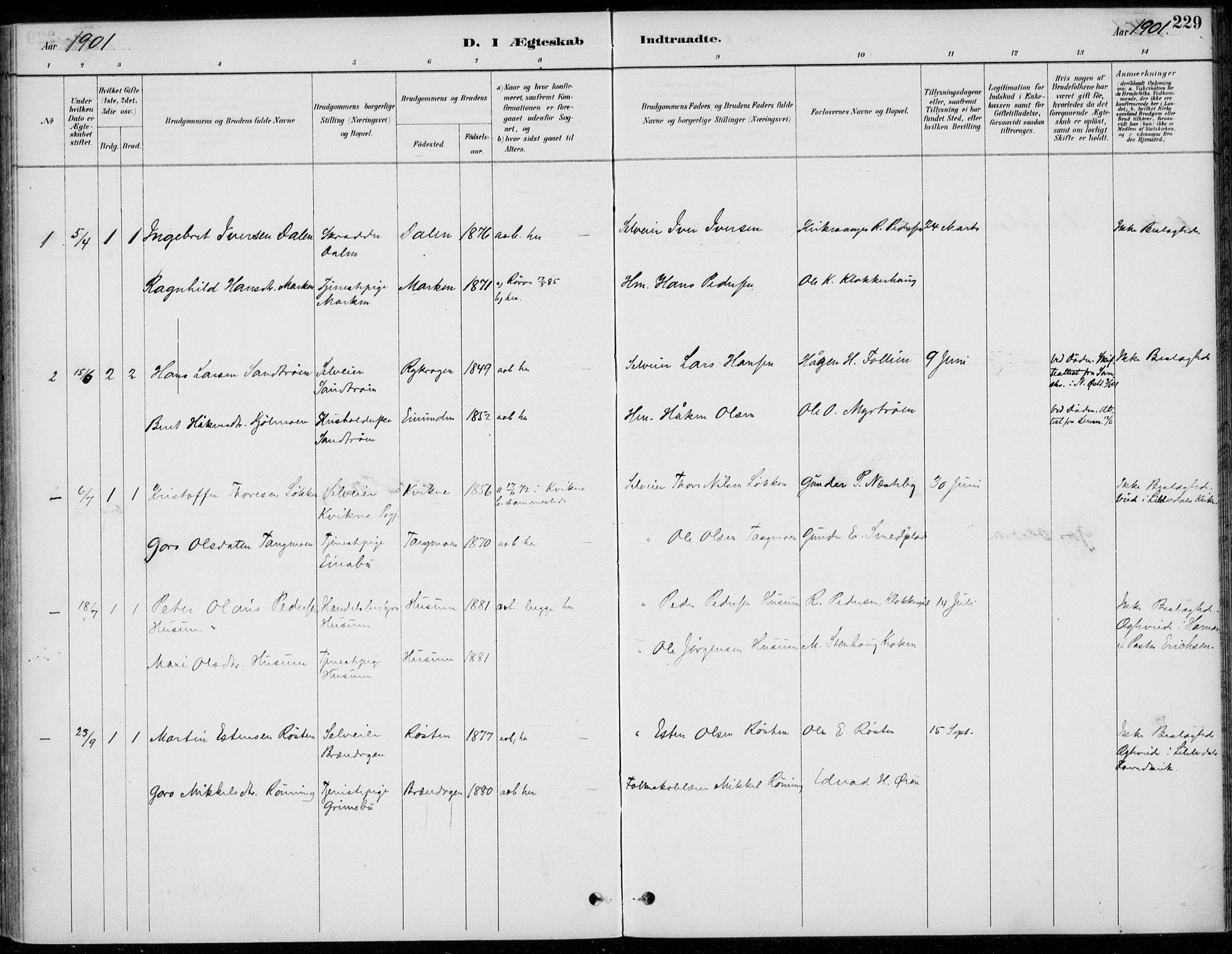 Alvdal prestekontor, SAH/PREST-060/H/Ha/Haa/L0003: Parish register (official) no. 3, 1886-1912, p. 229