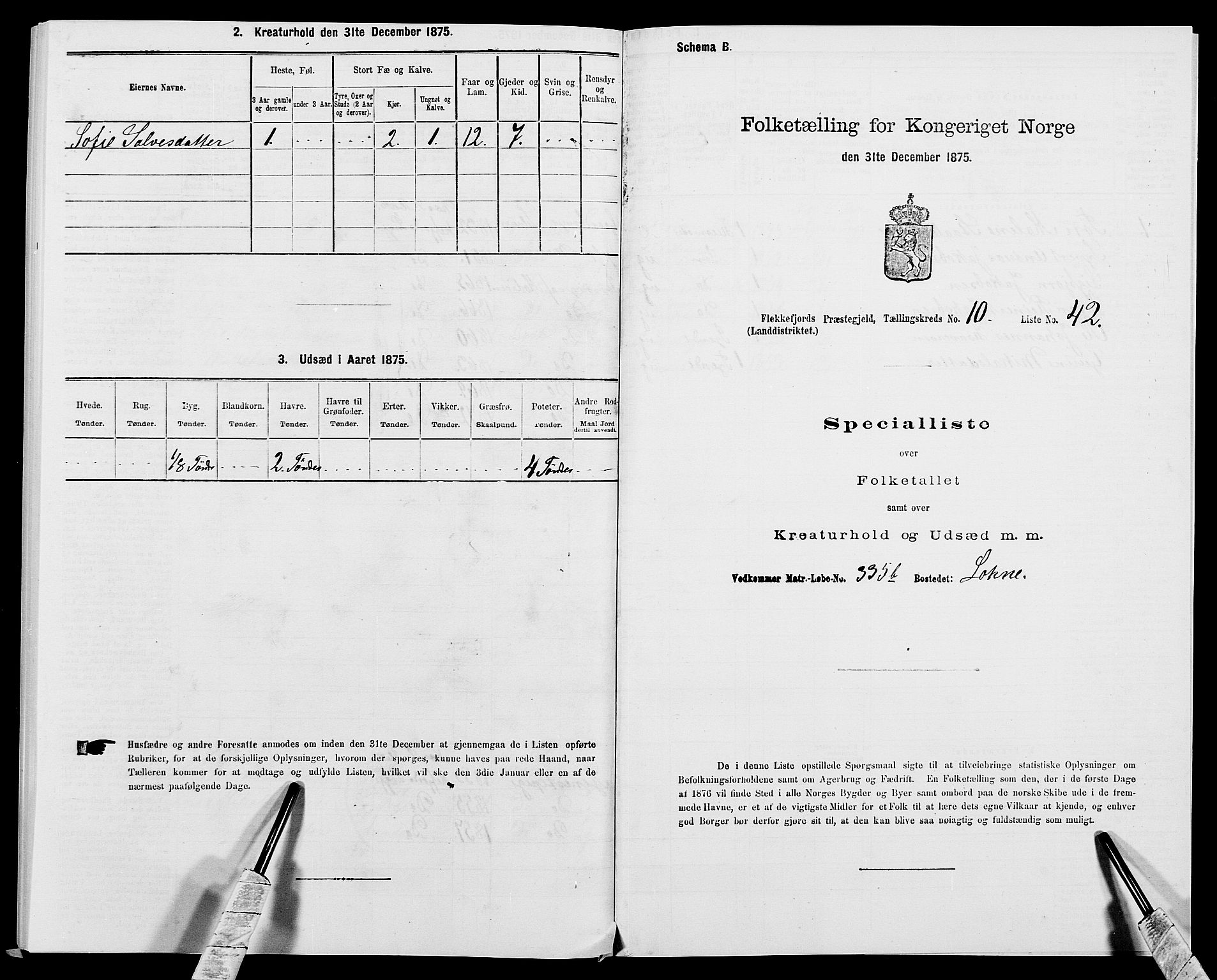 SAK, 1875 census for 1042L Flekkefjord/Nes og Hidra, 1875, p. 1303