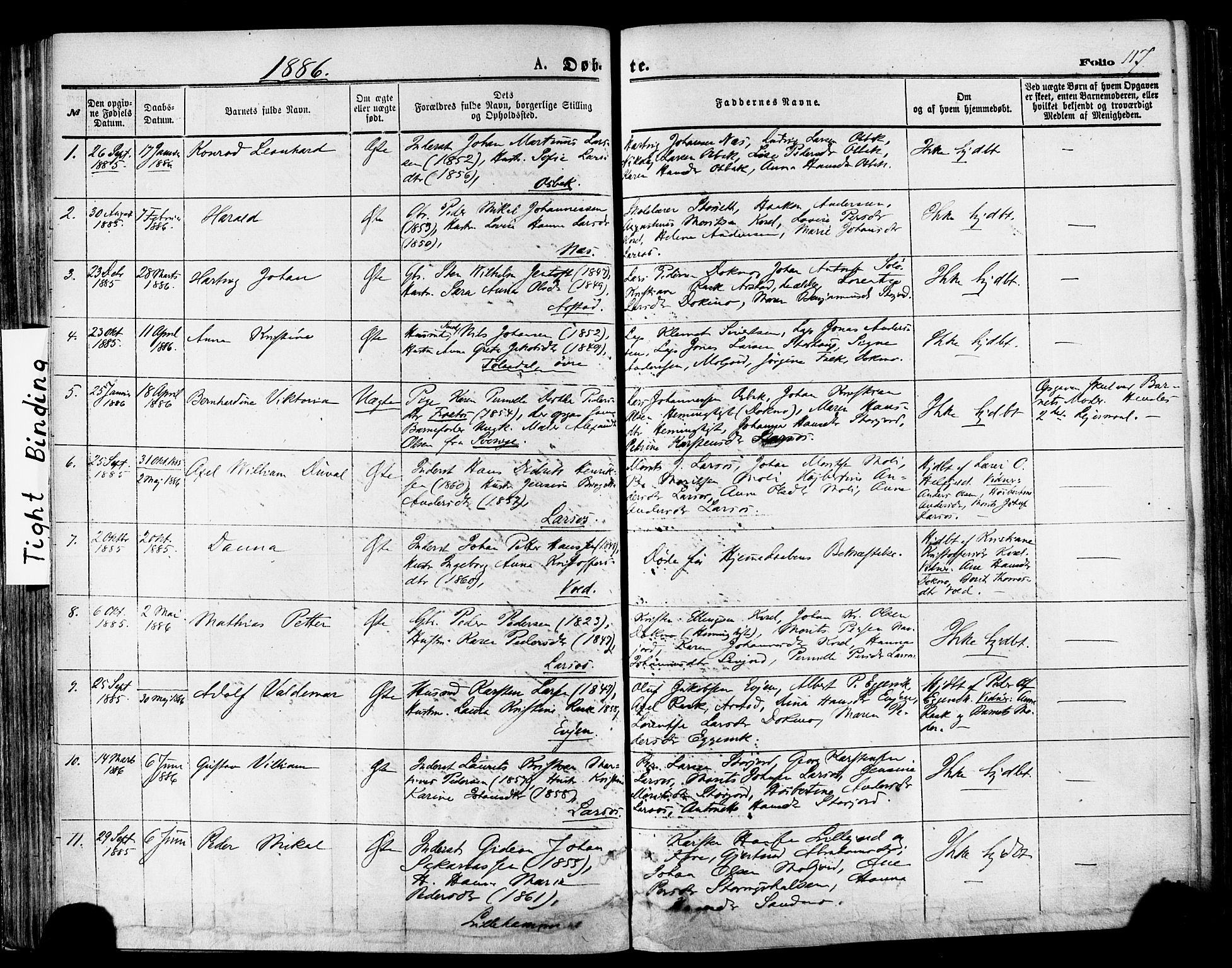 Ministerialprotokoller, klokkerbøker og fødselsregistre - Nordland, SAT/A-1459/846/L0645: Parish register (official) no. 846A03, 1872-1886, p. 117