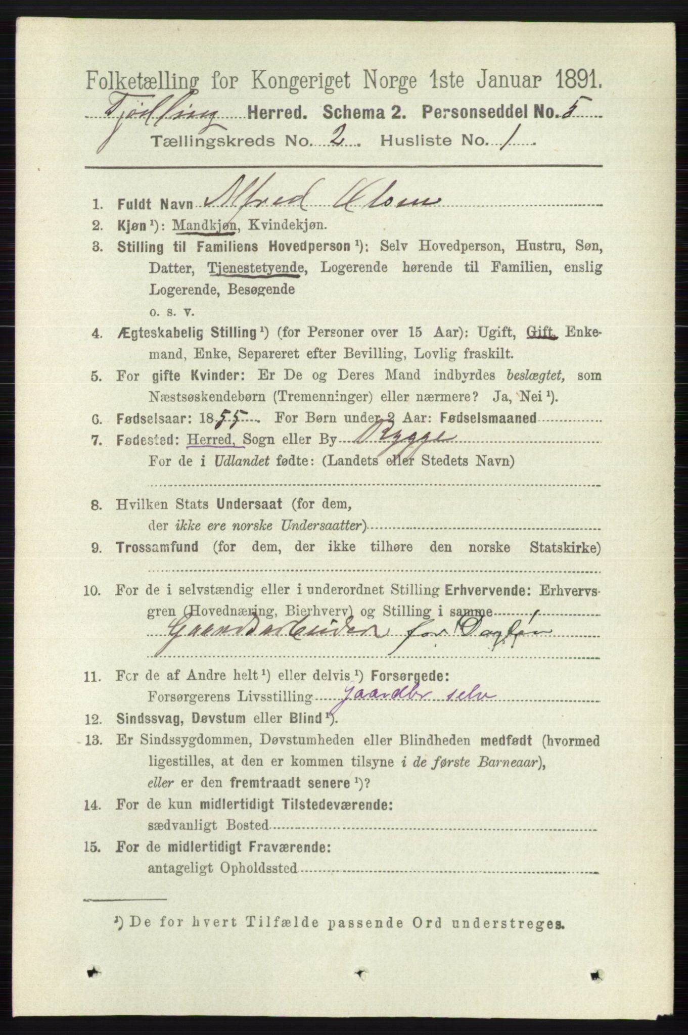 RA, 1891 census for 0725 Tjølling, 1891, p. 504