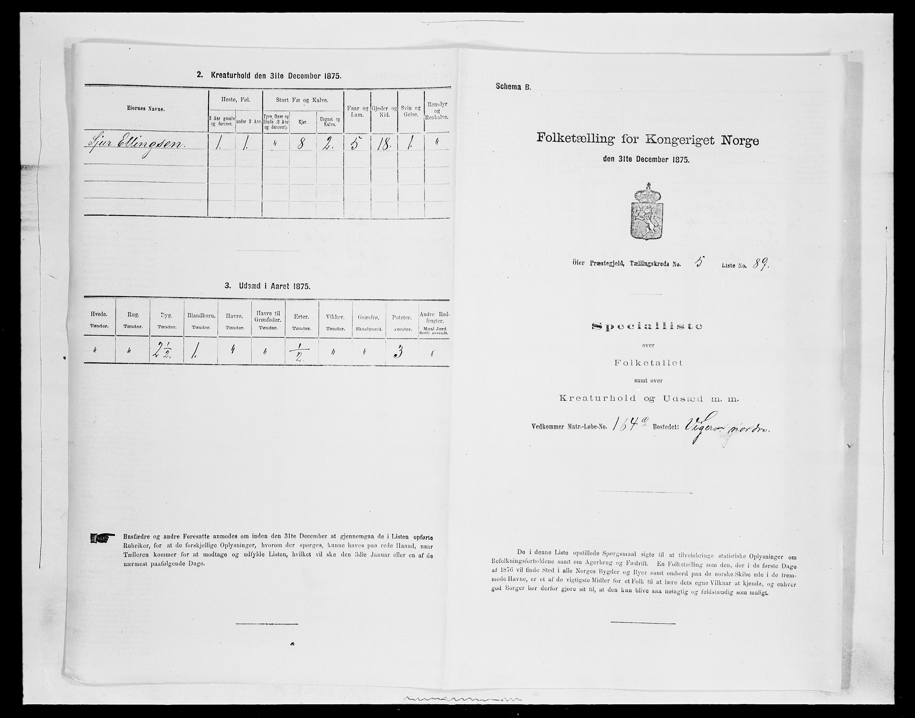 SAH, 1875 census for 0521P Øyer, 1875, p. 1132