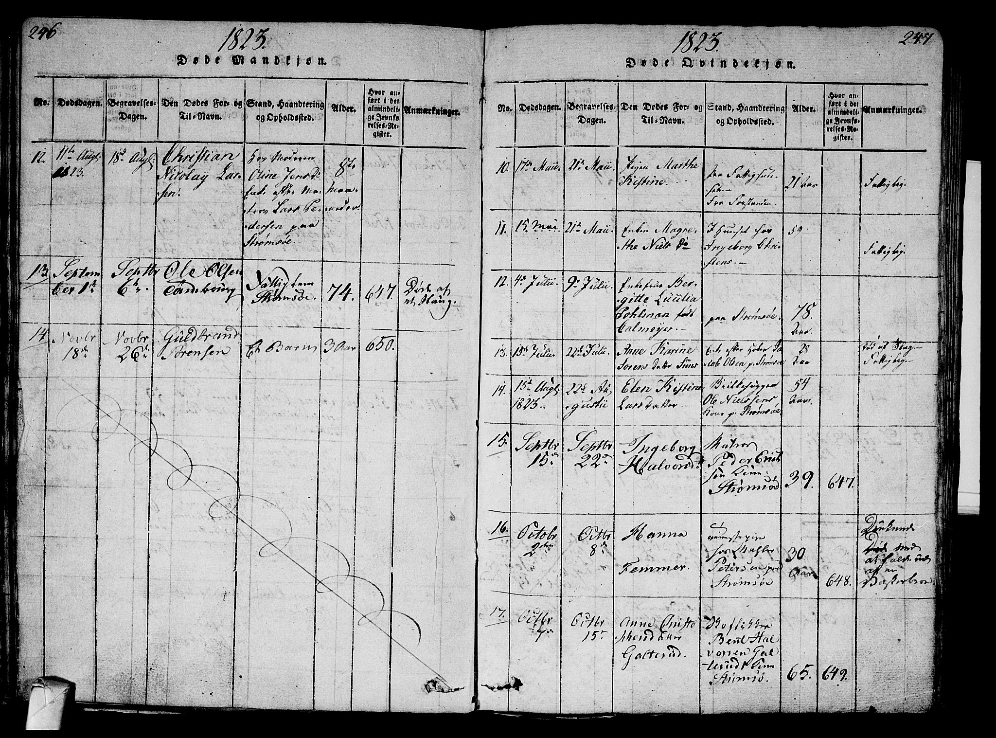 Strømsø kirkebøker, AV/SAKO-A-246/G/Ga/L0001: Parish register (copy) no. 1, 1815-1829, p. 246-247