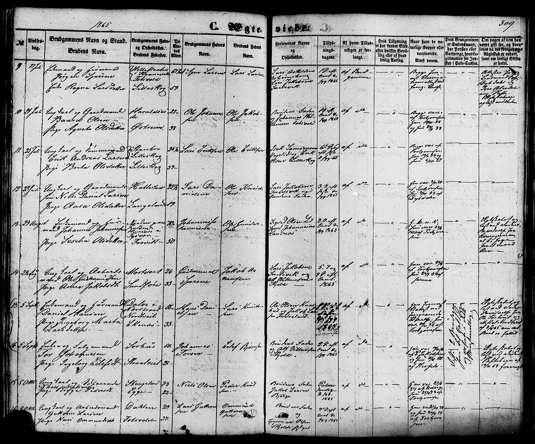 Skjold sokneprestkontor, AV/SAST-A-101847/H/Ha/Haa/L0008: Parish register (official) no. A 8, 1856-1882, p. 309