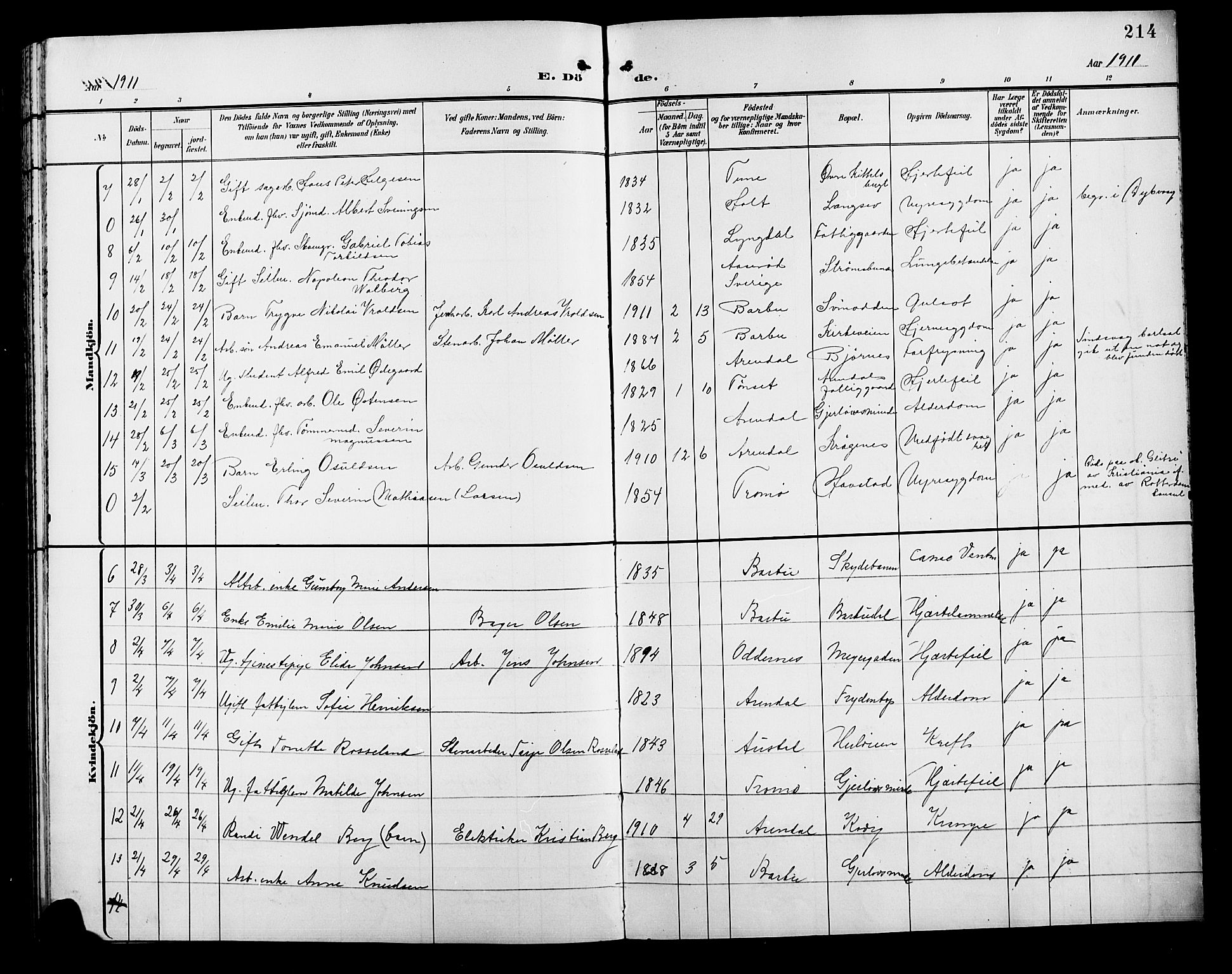 Barbu sokneprestkontor, AV/SAK-1111-0003/F/Fb/L0003: Parish register (copy) no. B 3, 1897-1911, p. 214