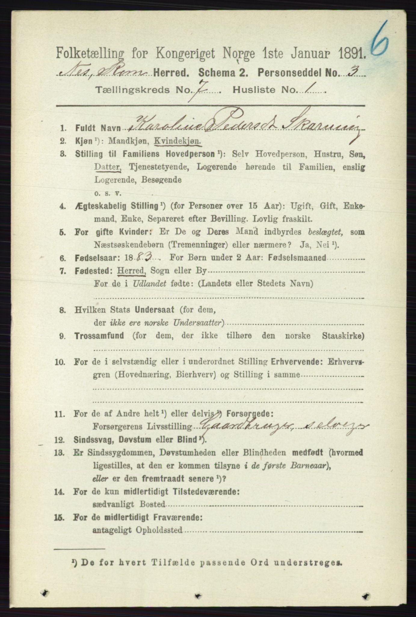 RA, 1891 census for 0236 Nes, 1891, p. 4014