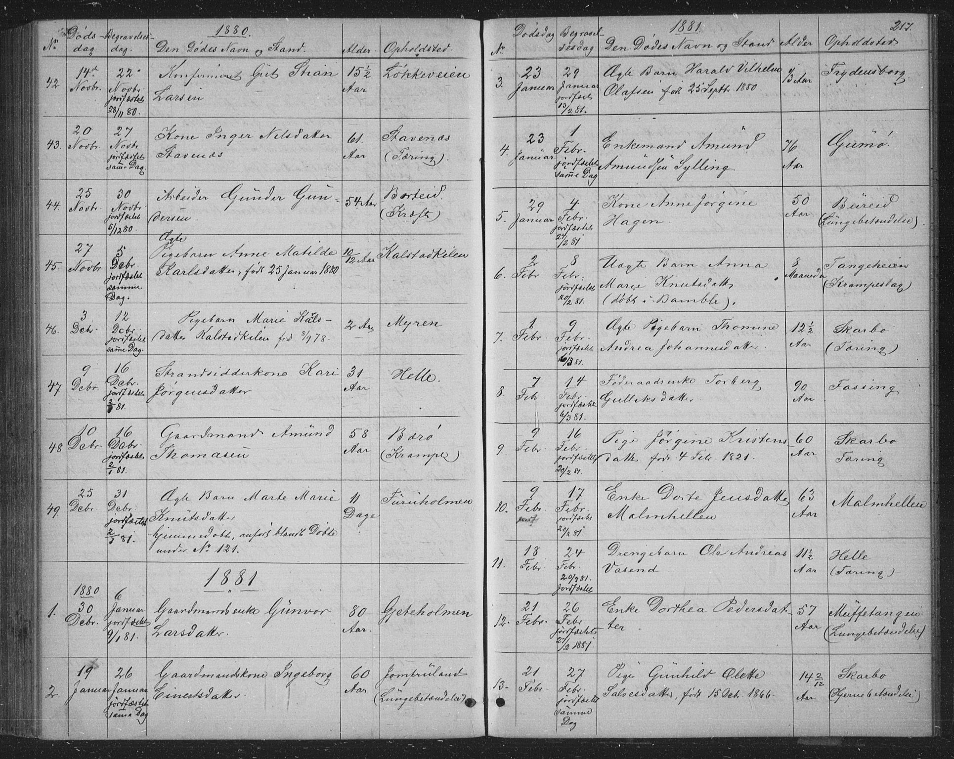 Skåtøy kirkebøker, SAKO/A-304/G/Ga/L0002: Parish register (copy) no. I 2, 1872-1884, p. 217
