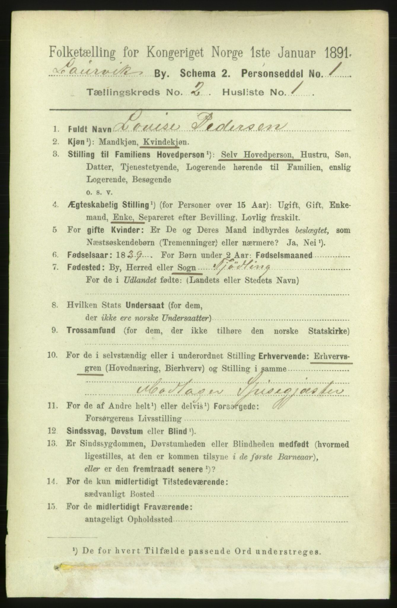 RA, 1891 census for 0707 Larvik, 1891, p. 3331