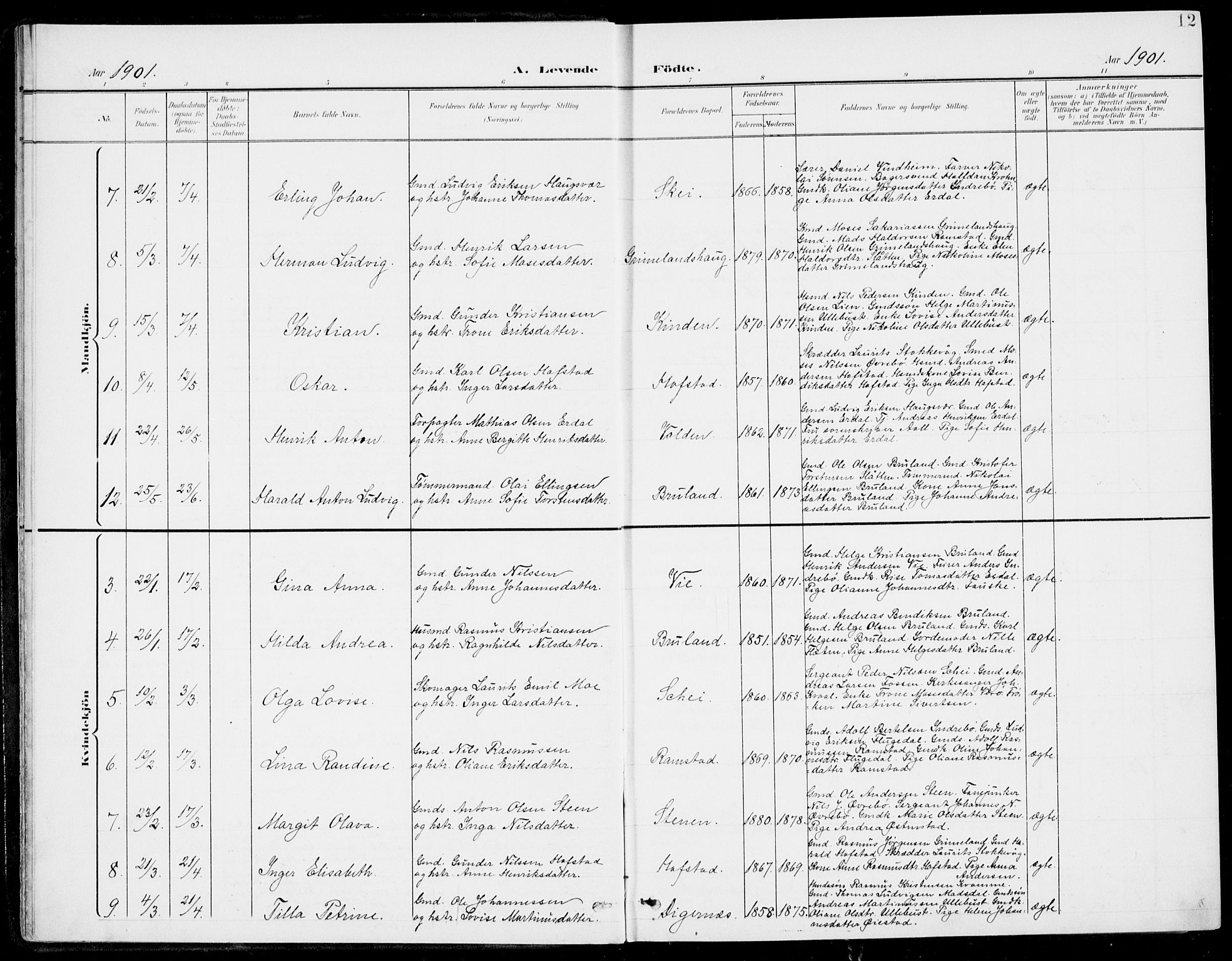 Førde sokneprestembete, AV/SAB-A-79901/H/Haa/Haab/L0002: Parish register (official) no. B  2, 1899-1920, p. 12