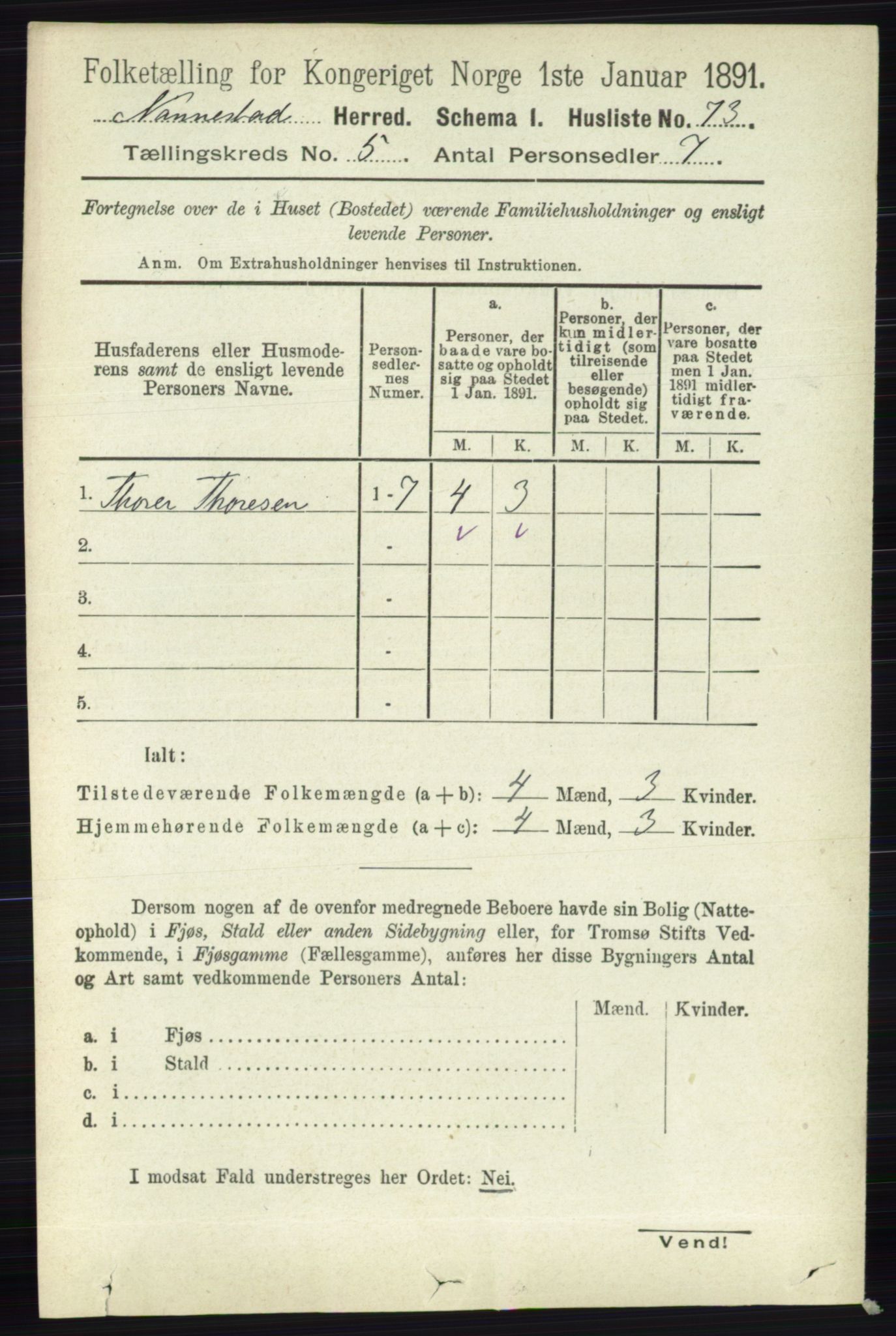 RA, 1891 census for 0238 Nannestad, 1891, p. 2596