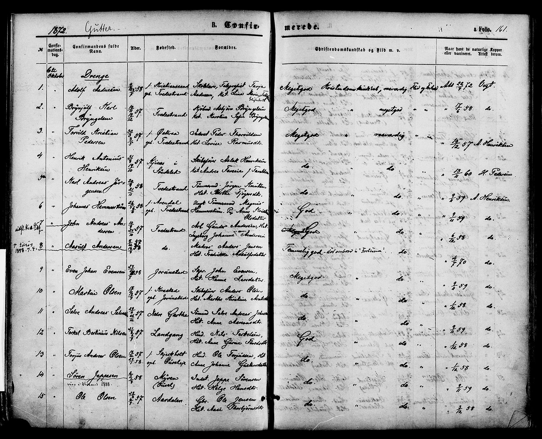 Holt sokneprestkontor, AV/SAK-1111-0021/F/Fa/L0010: Parish register (official) no. A 10, 1872-1885, p. 161