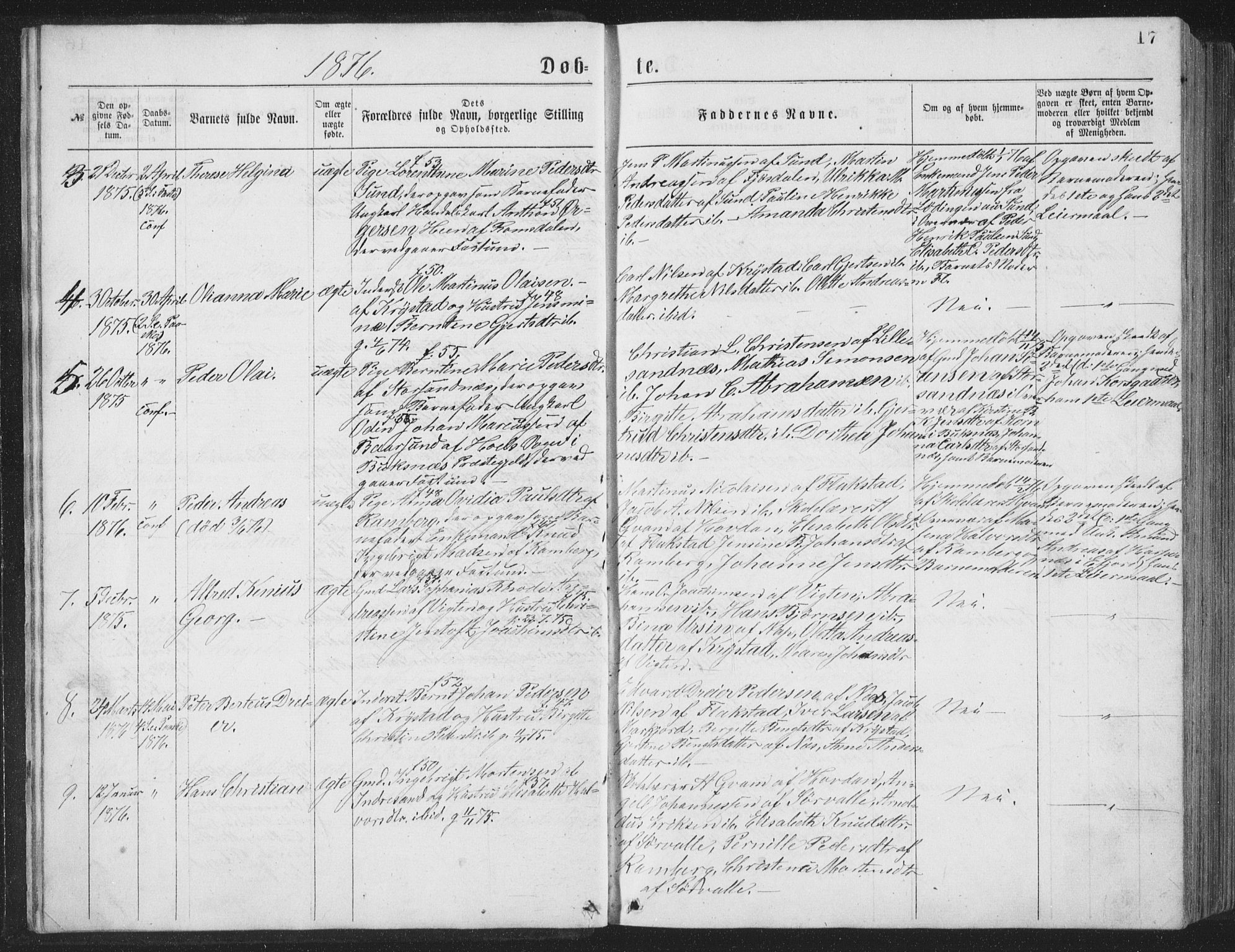 Ministerialprotokoller, klokkerbøker og fødselsregistre - Nordland, AV/SAT-A-1459/885/L1213: Parish register (copy) no. 885C02, 1874-1892, p. 17