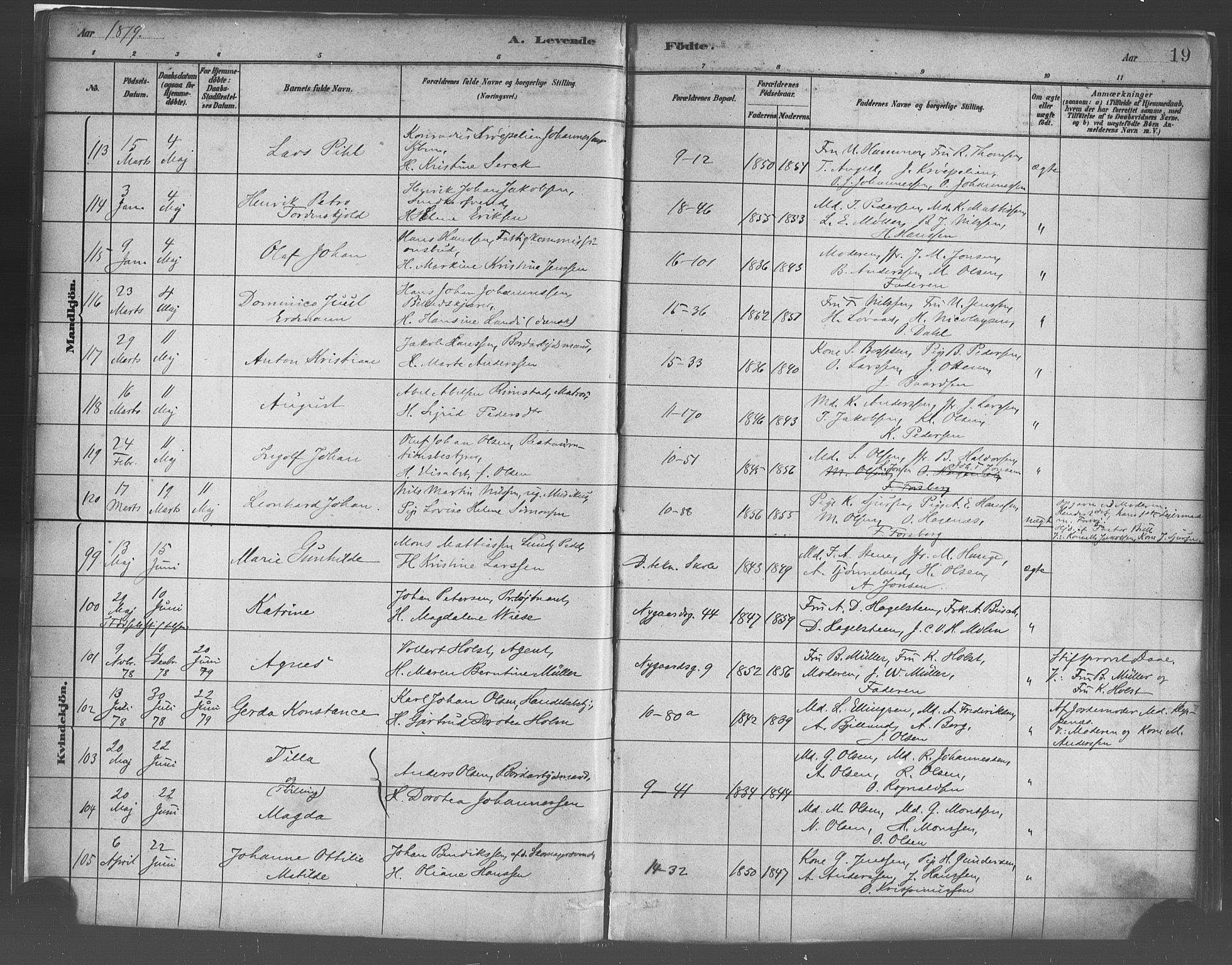 Domkirken sokneprestembete, AV/SAB-A-74801/H/Haa/L0023: Parish register (official) no. B 6, 1879-1887, p. 19