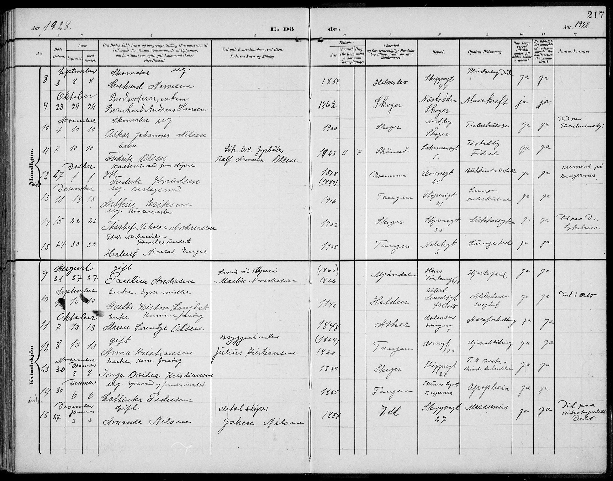 Strømsø kirkebøker, AV/SAKO-A-246/F/Fb/L0008: Parish register (official) no. II 8, 1902-1933, p. 217