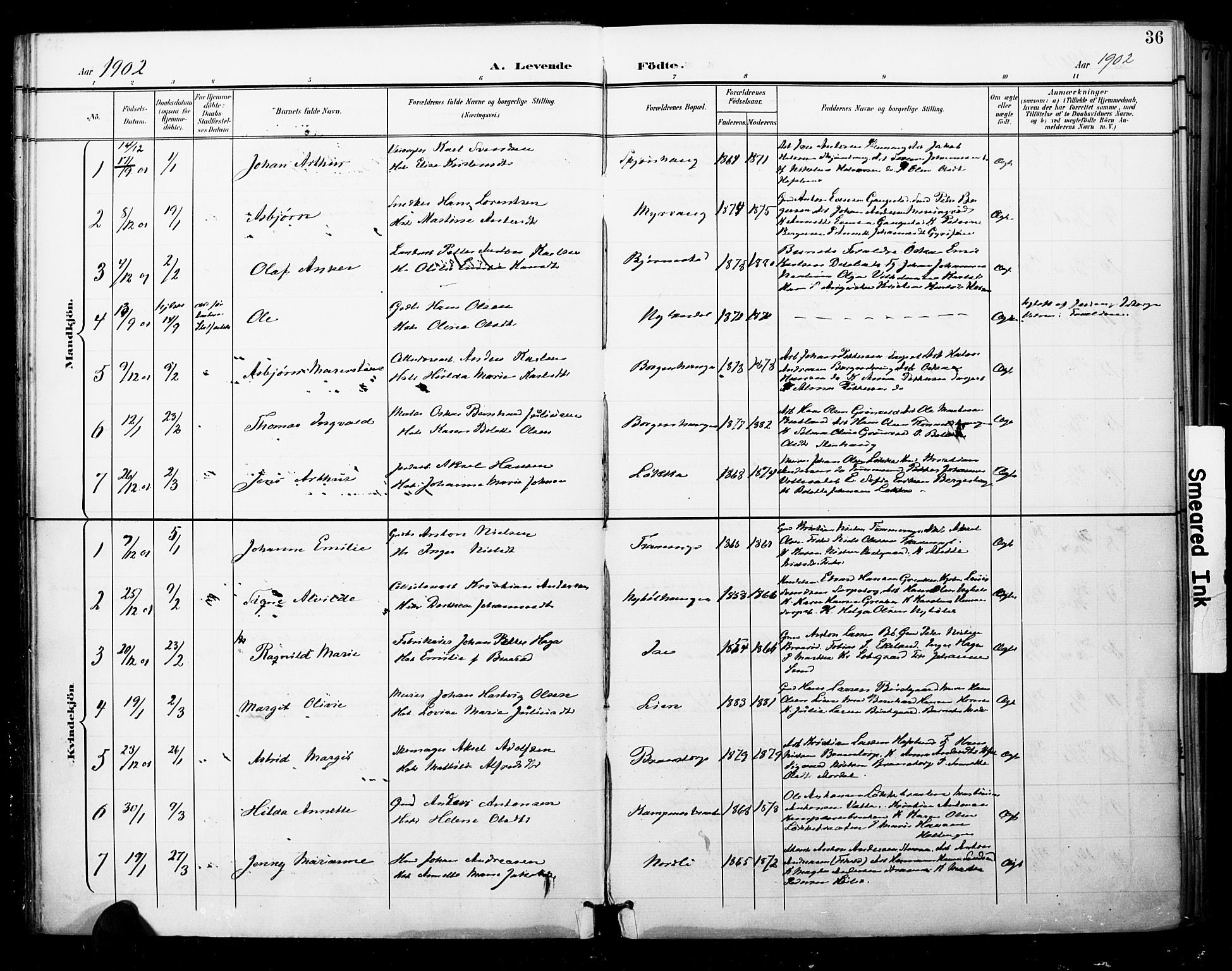 Skjeberg prestekontor Kirkebøker, SAO/A-10923/F/Fa/L0010: Parish register (official) no. I 10, 1898-1911, p. 36