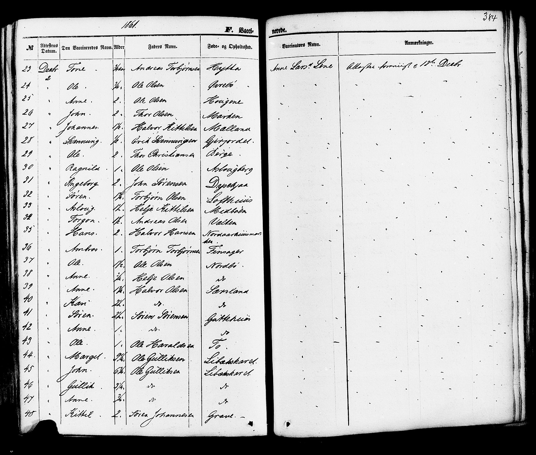 Hjartdal kirkebøker, AV/SAKO-A-270/F/Fa/L0009: Parish register (official) no. I 9, 1860-1879, p. 384