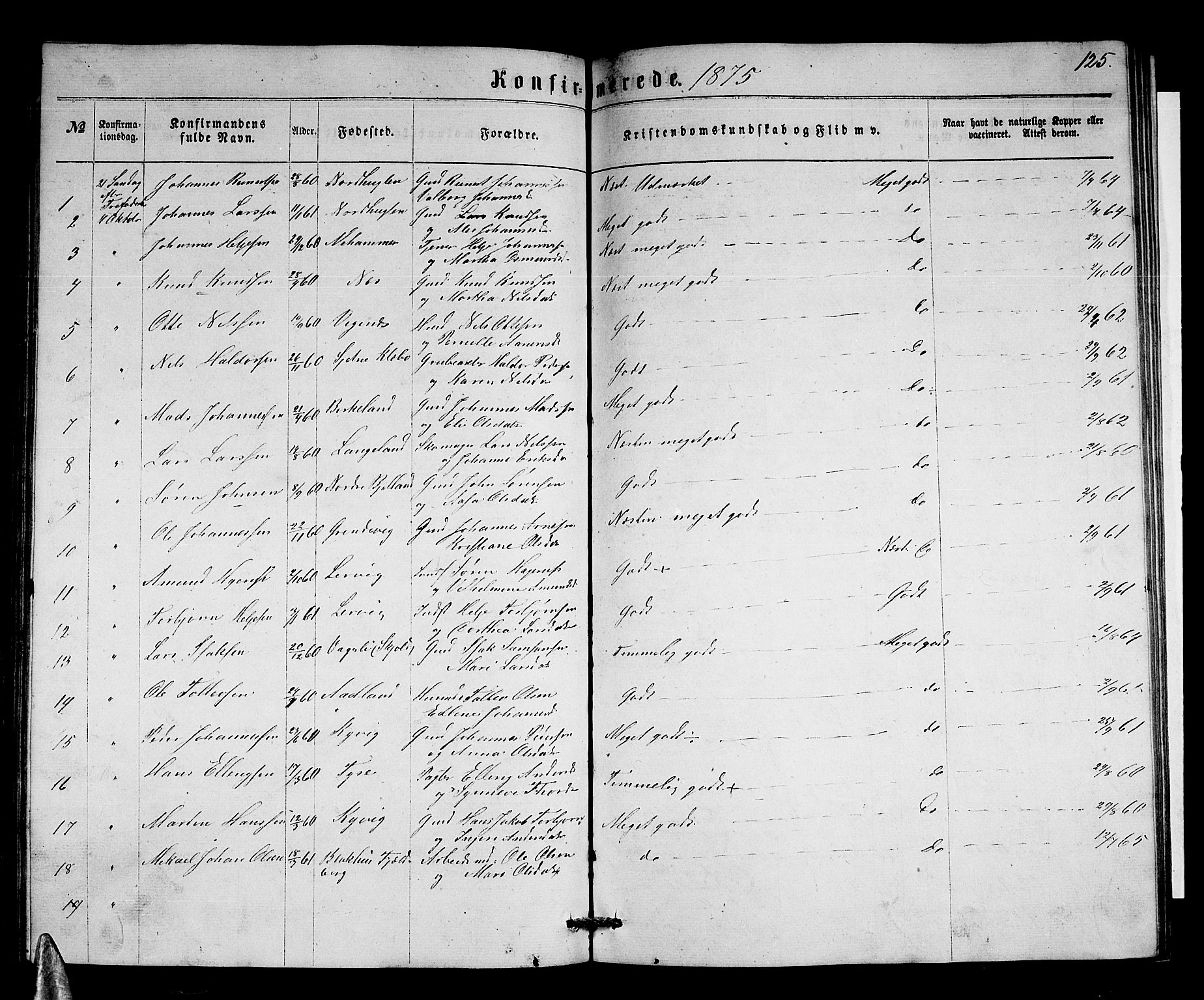 Stord sokneprestembete, SAB/A-78201/H/Hab: Parish register (copy) no. A 1, 1864-1878, p. 125