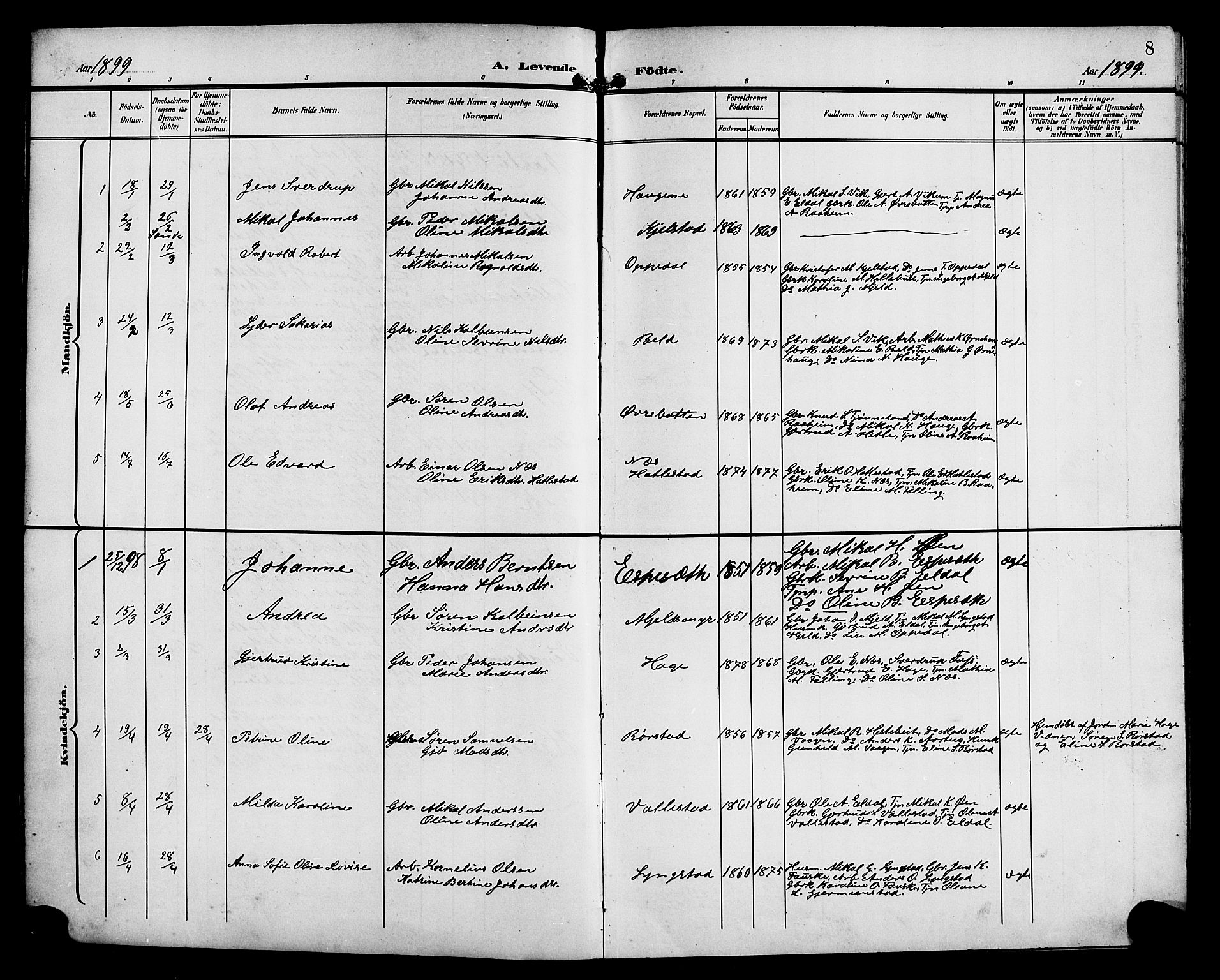 Gaular sokneprestembete, AV/SAB-A-80001/H/Hab: Parish register (copy) no. C 4, 1895-1920, p. 8