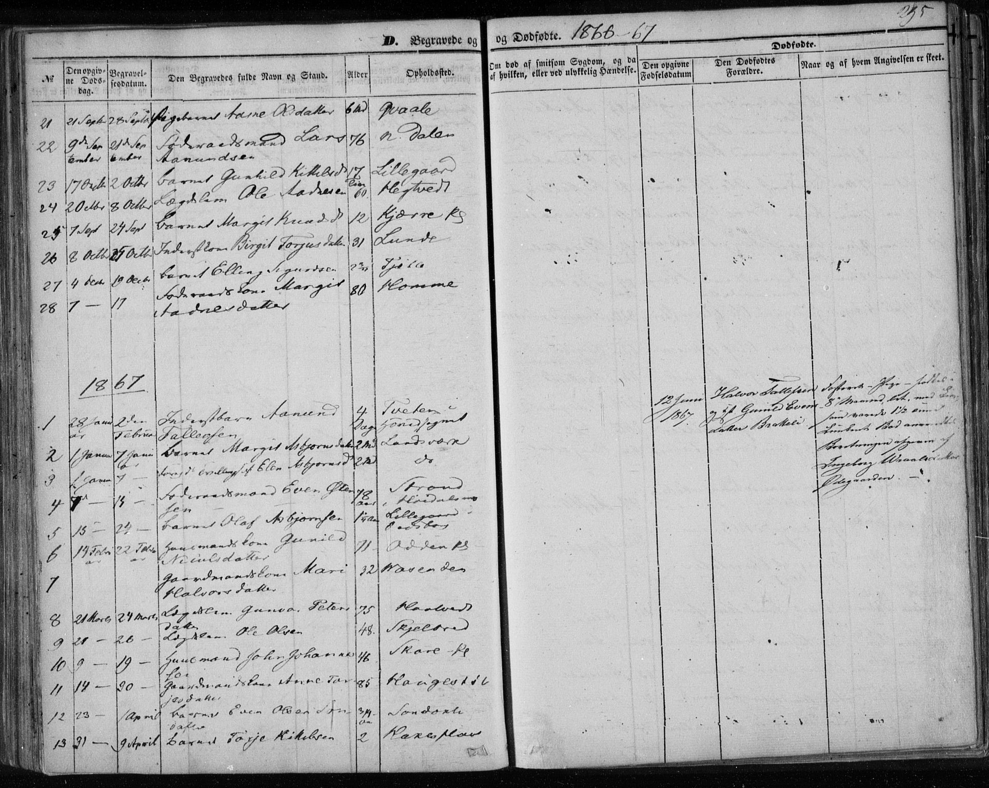 Lårdal kirkebøker, SAKO/A-284/F/Fa/L0006: Parish register (official) no. I 6, 1861-1886, p. 295