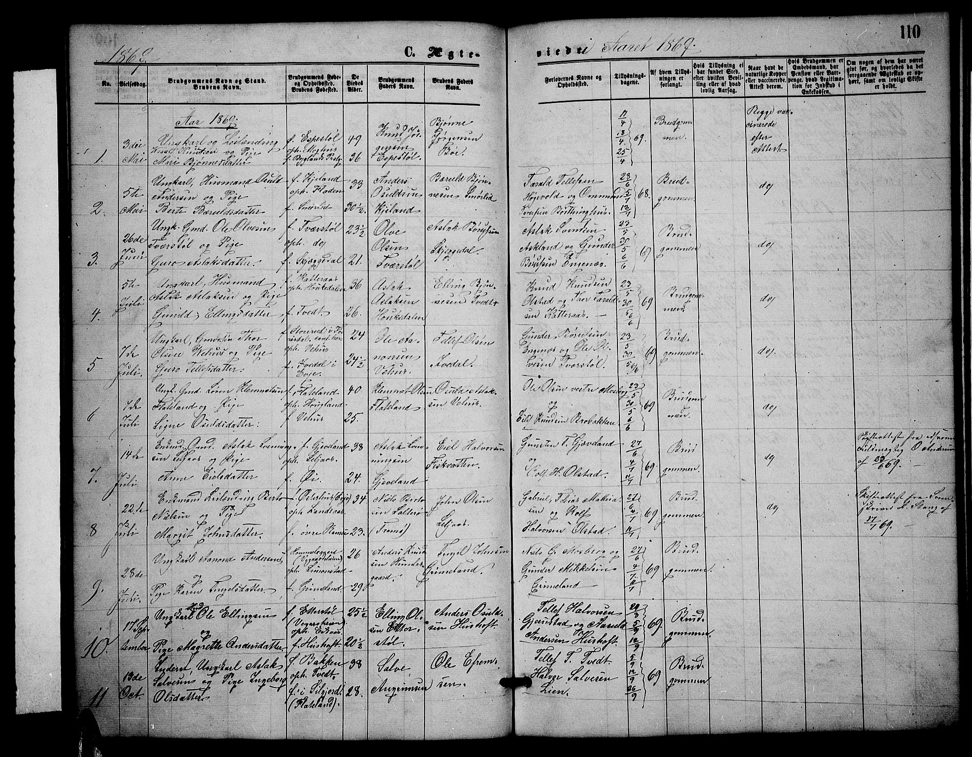 Åmli sokneprestkontor, SAK/1111-0050/F/Fb/Fbc/L0003: Parish register (copy) no. B 3, 1868-1888, p. 110