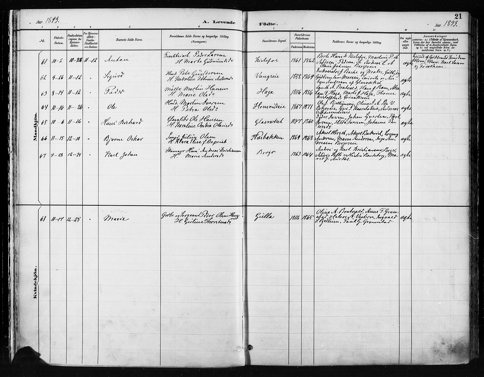 Jevnaker prestekontor, SAH/PREST-116/H/Ha/Haa/L0009: Parish register (official) no. 9, 1891-1901, p. 21