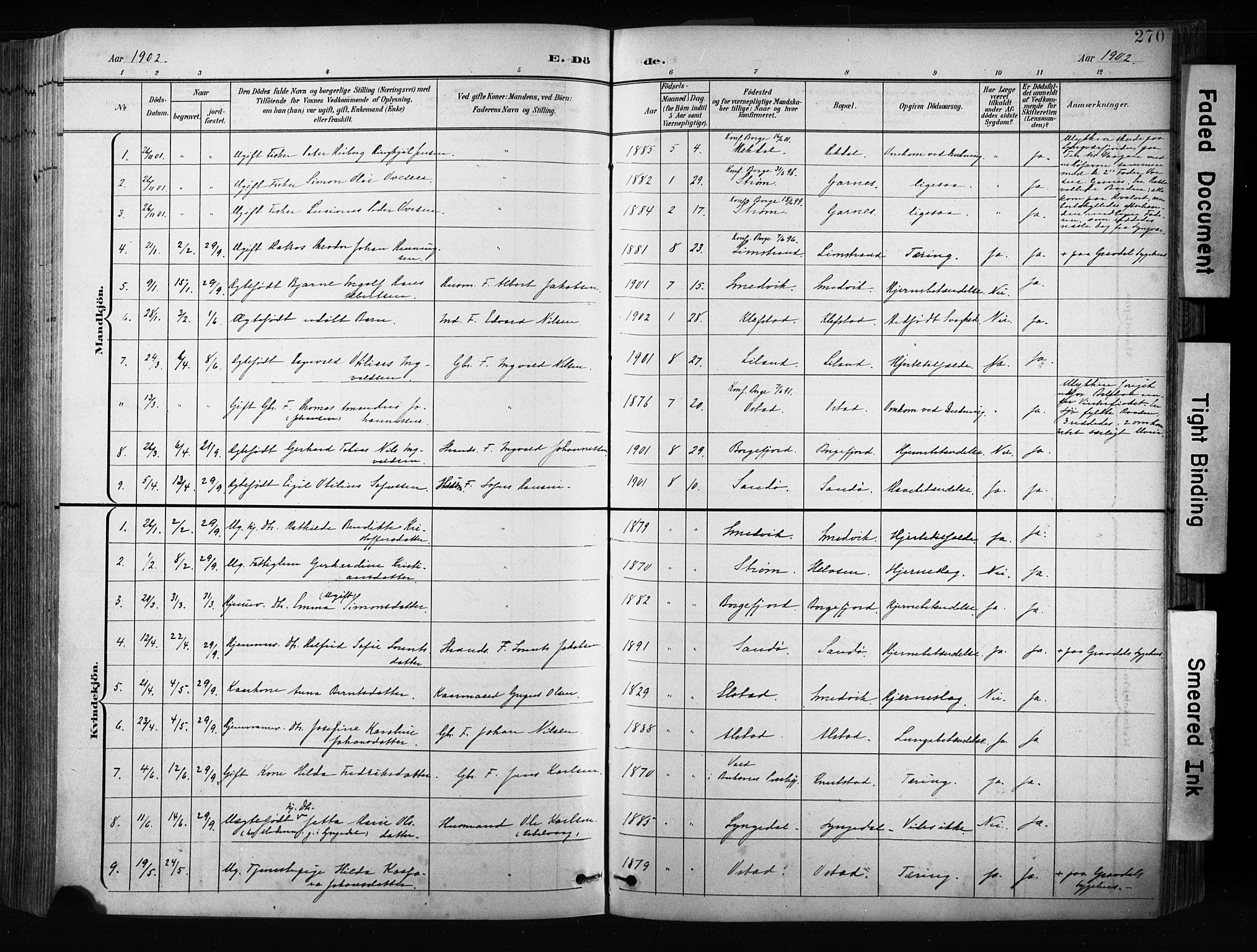 Ministerialprotokoller, klokkerbøker og fødselsregistre - Nordland, AV/SAT-A-1459/880/L1134: Parish register (official) no. 880A08, 1899-1908, p. 270