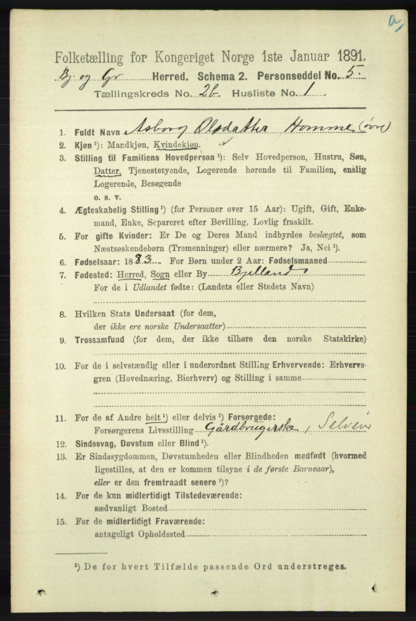 RA, 1891 census for 1024 Bjelland og Grindheim, 1891, p. 1133