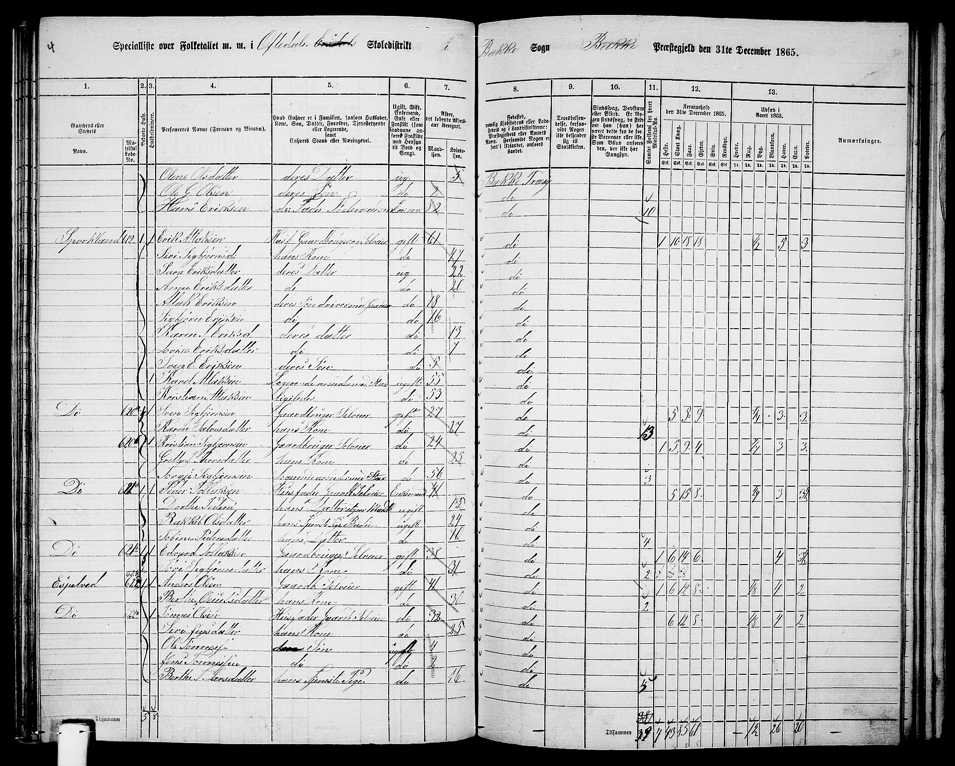 RA, 1865 census for Bakke, 1865, p. 76