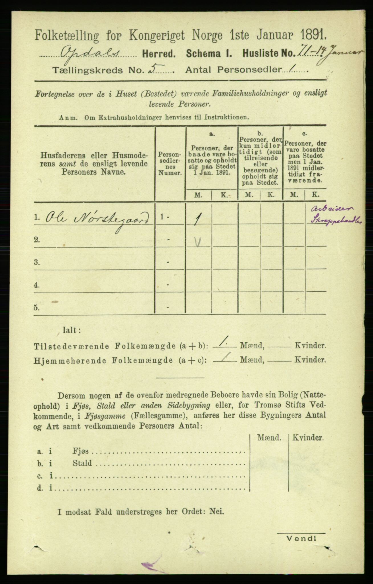 RA, 1891 census for 1634 Oppdal, 1891, p. 2219