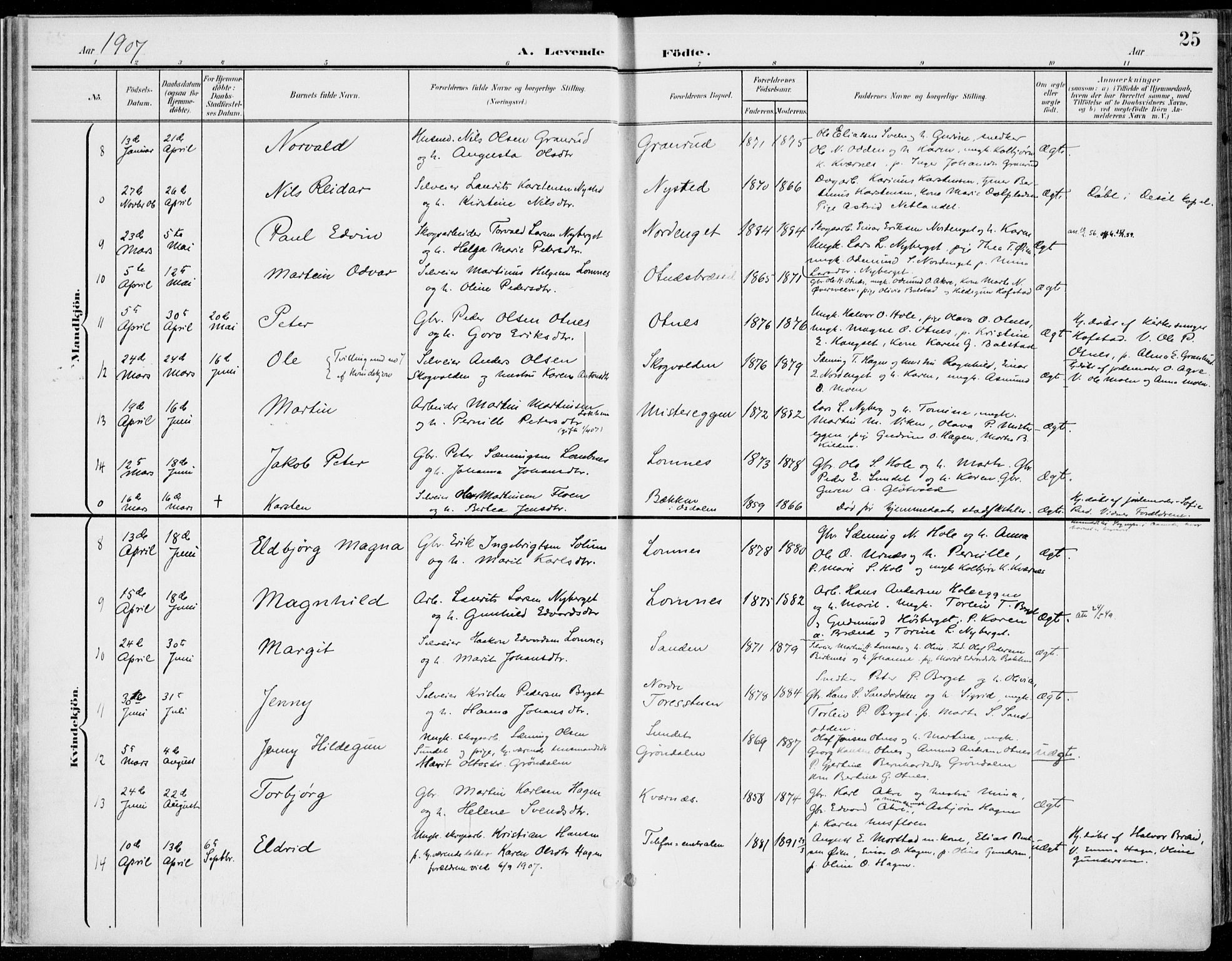 Rendalen prestekontor, AV/SAH-PREST-054/H/Ha/Haa/L0011: Parish register (official) no. 11, 1901-1925, p. 25