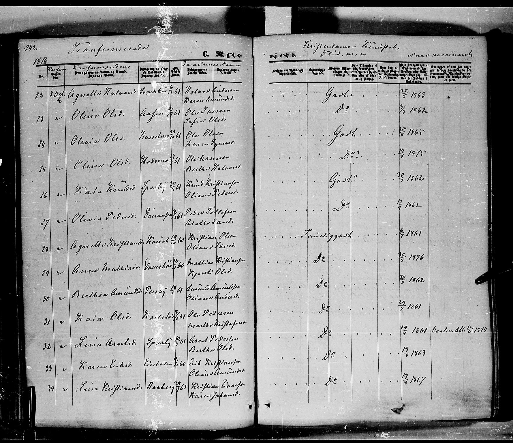 Hof prestekontor, AV/SAH-PREST-038/H/Ha/Haa/L0009: Parish register (official) no. 9, 1862-1877, p. 242