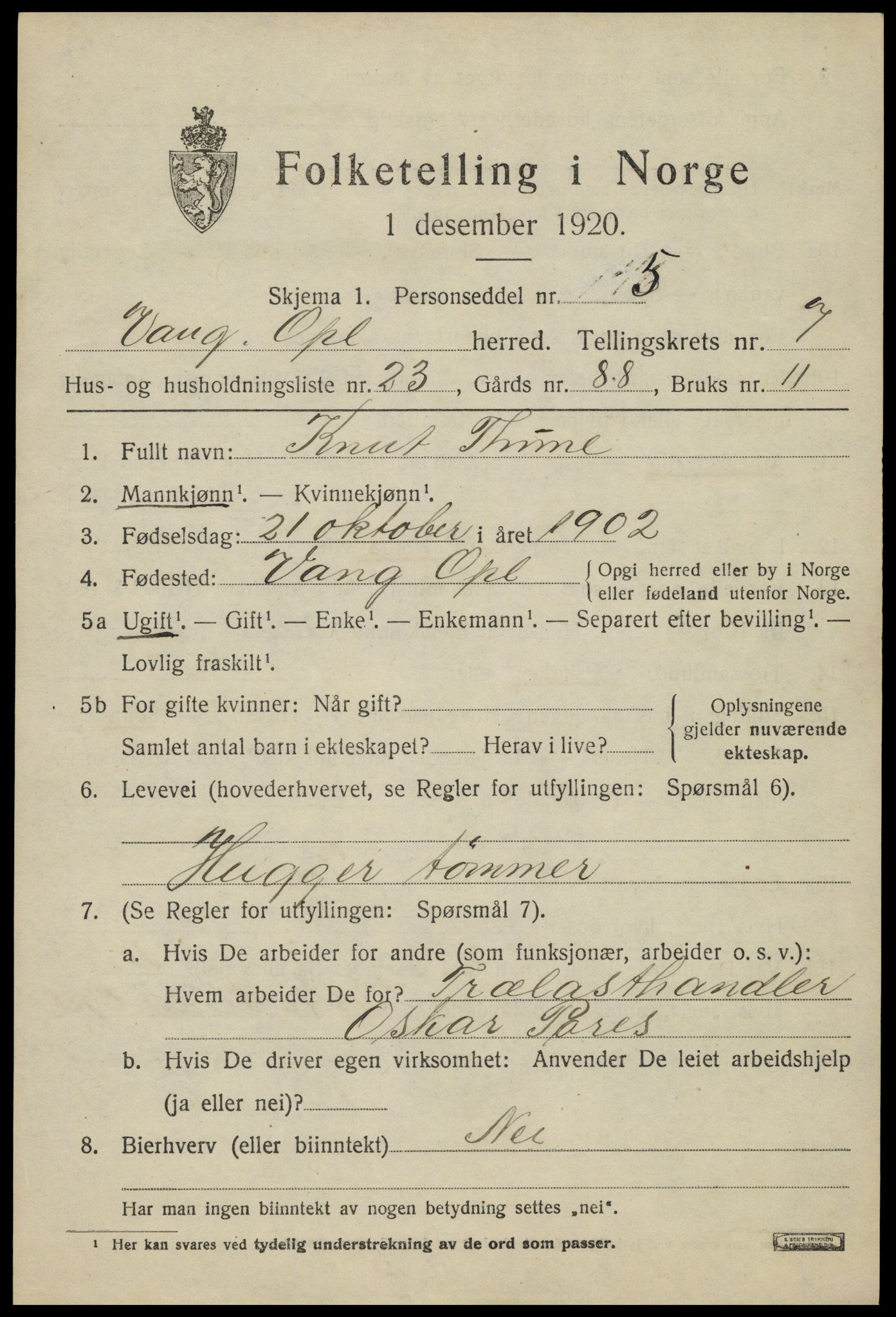 SAH, 1920 census for Vang (Oppland), 1920, p. 3373