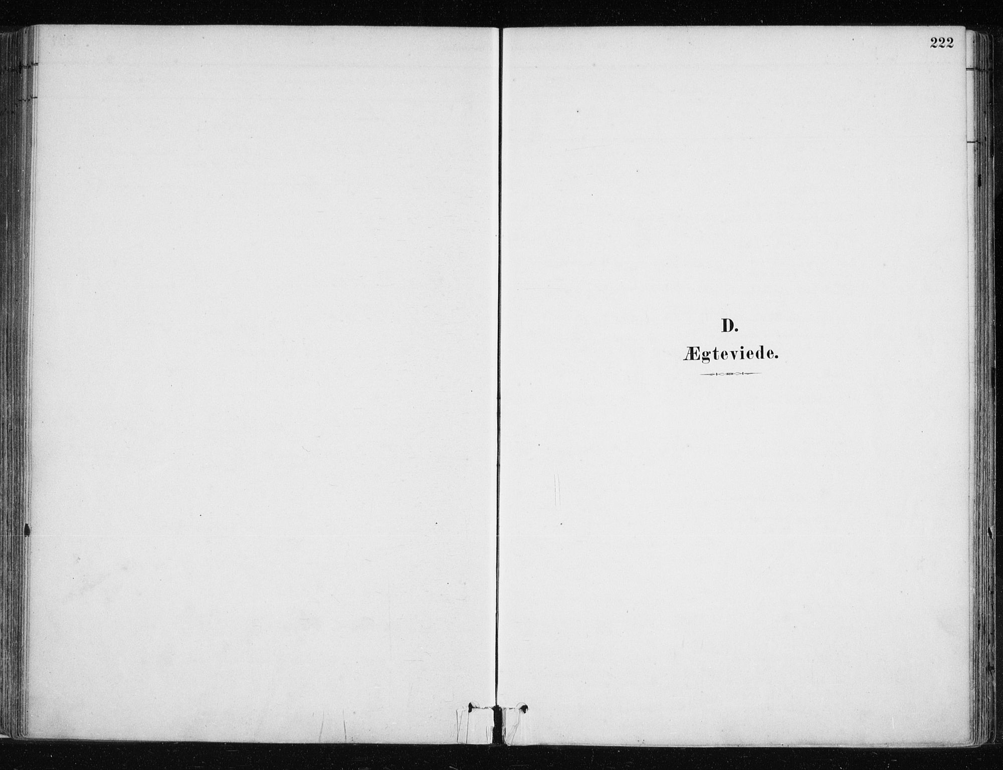 Lyngen sokneprestembete, SATØ/S-1289/H/He/Hea/L0007kirke: Parish register (official) no. 7, 1879-1890, p. 222
