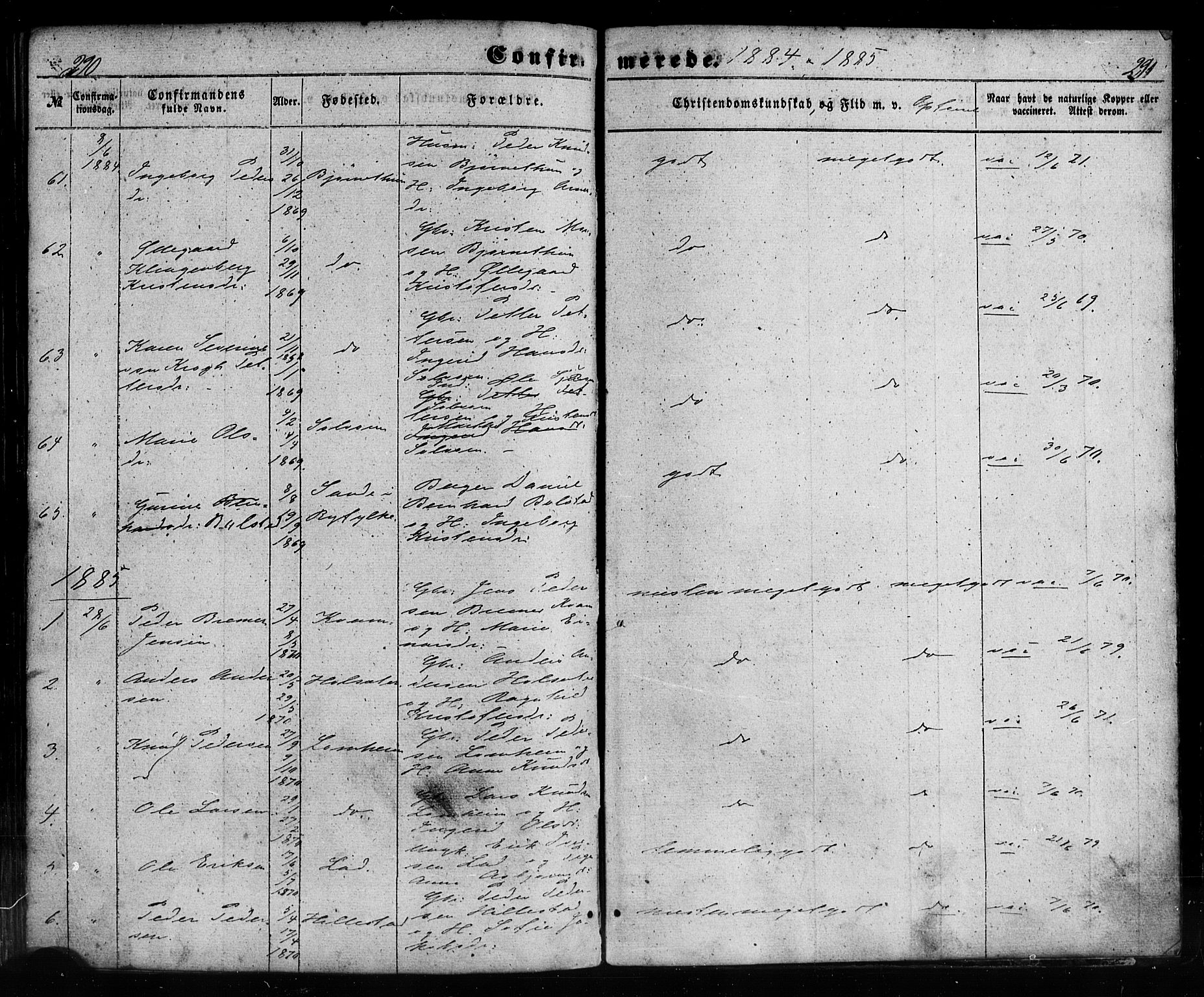 Hafslo sokneprestembete, SAB/A-80301/H/Haa/Haaa/L0012: Parish register (official) no. A 12, 1852-1885, p. 290-291