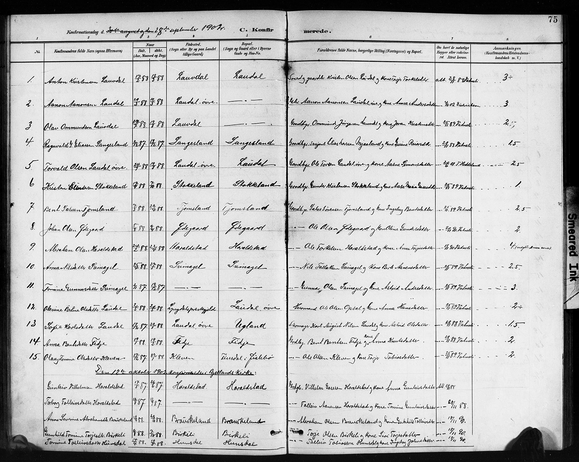 Holum sokneprestkontor, AV/SAK-1111-0022/F/Fb/Fbb/L0004: Parish register (copy) no. B 4, 1899-1920, p. 75