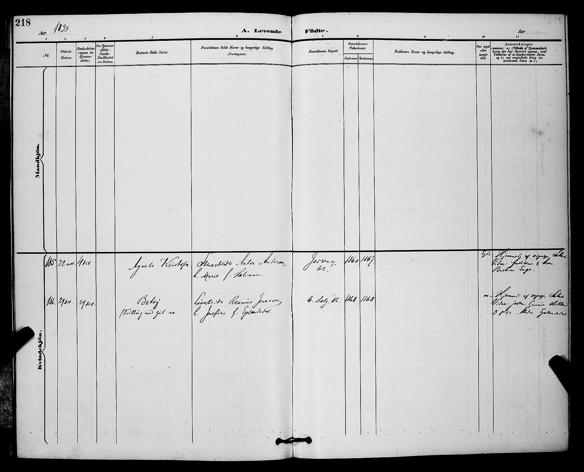 St. Johannes sokneprestkontor, SAST/A-101814/001/30/30BB/L0003: Parish register (copy) no. B 3, 1893-1900, p. 218