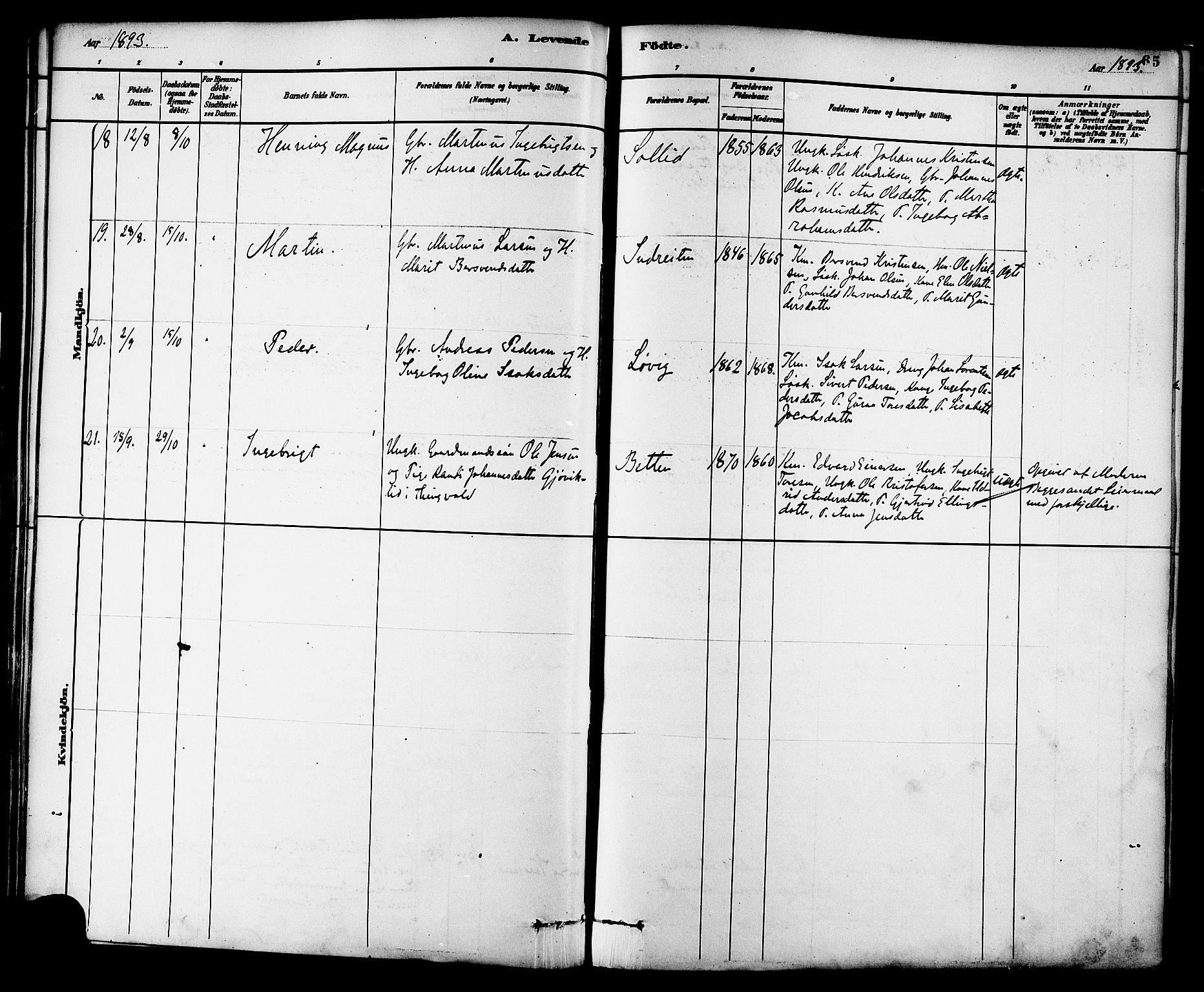 Ministerialprotokoller, klokkerbøker og fødselsregistre - Møre og Romsdal, SAT/A-1454/576/L0885: Parish register (official) no. 576A03, 1880-1898, p. 65