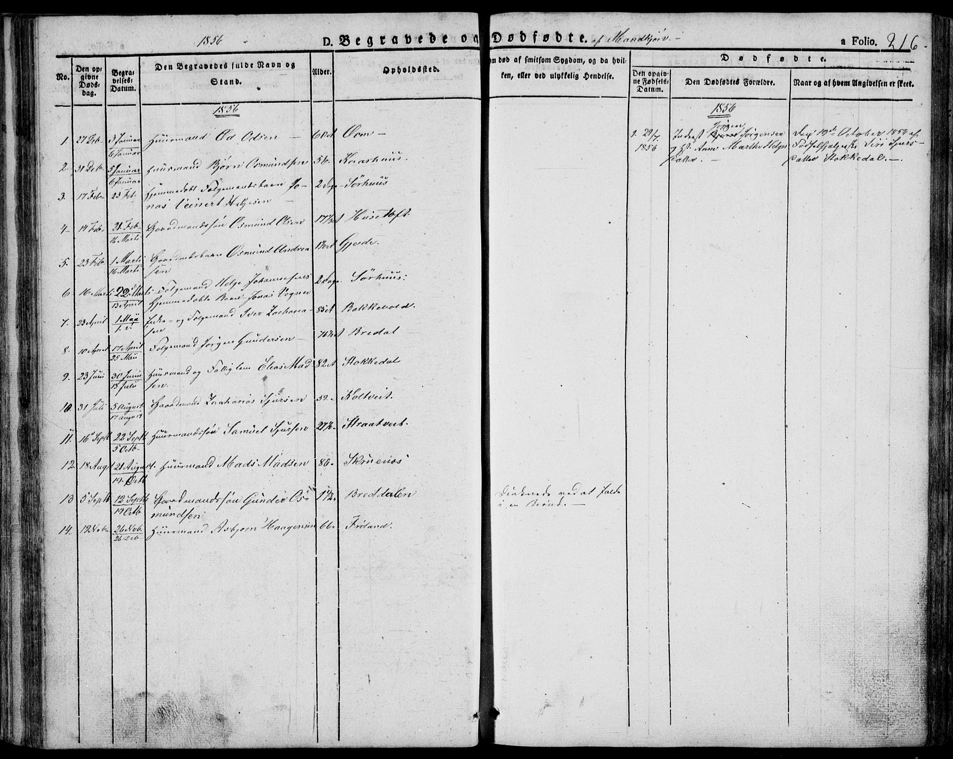 Skjold sokneprestkontor, AV/SAST-A-101847/H/Ha/Haa/L0005: Parish register (official) no. A 5, 1830-1856, p. 216