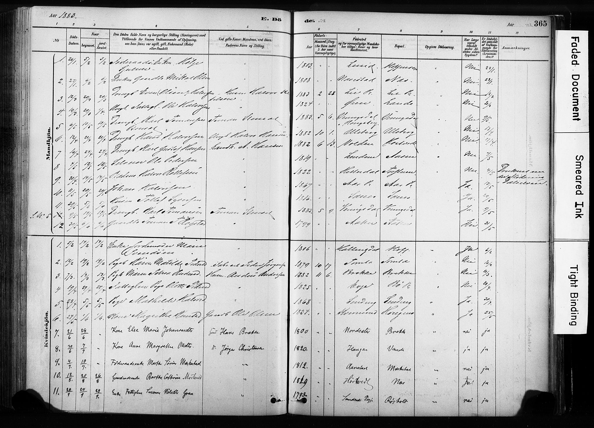 Sandsvær kirkebøker, SAKO/A-244/F/Fb/L0001: Parish register (official) no. II 1, 1878-1906, p. 365